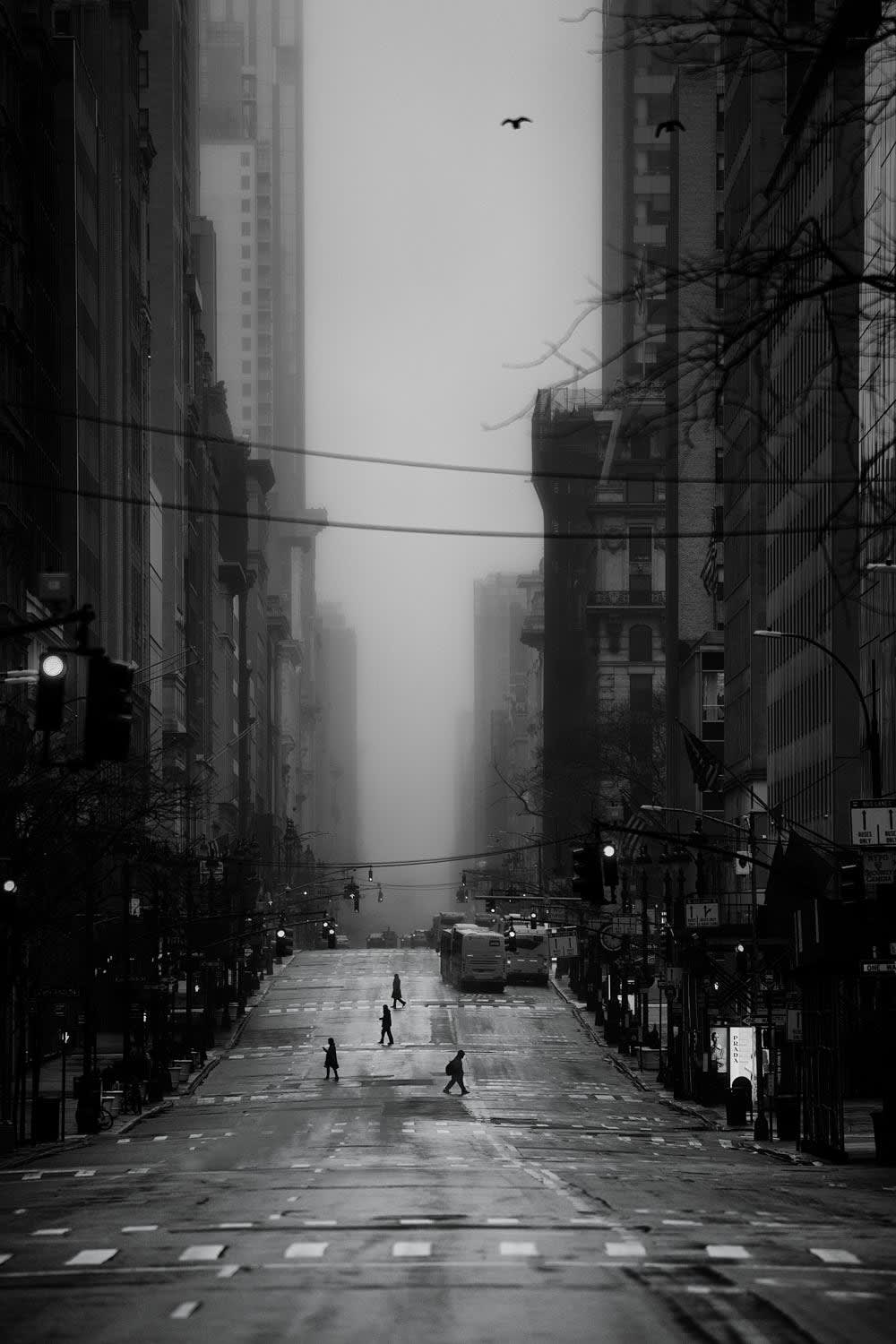 Treviso Photo Festival