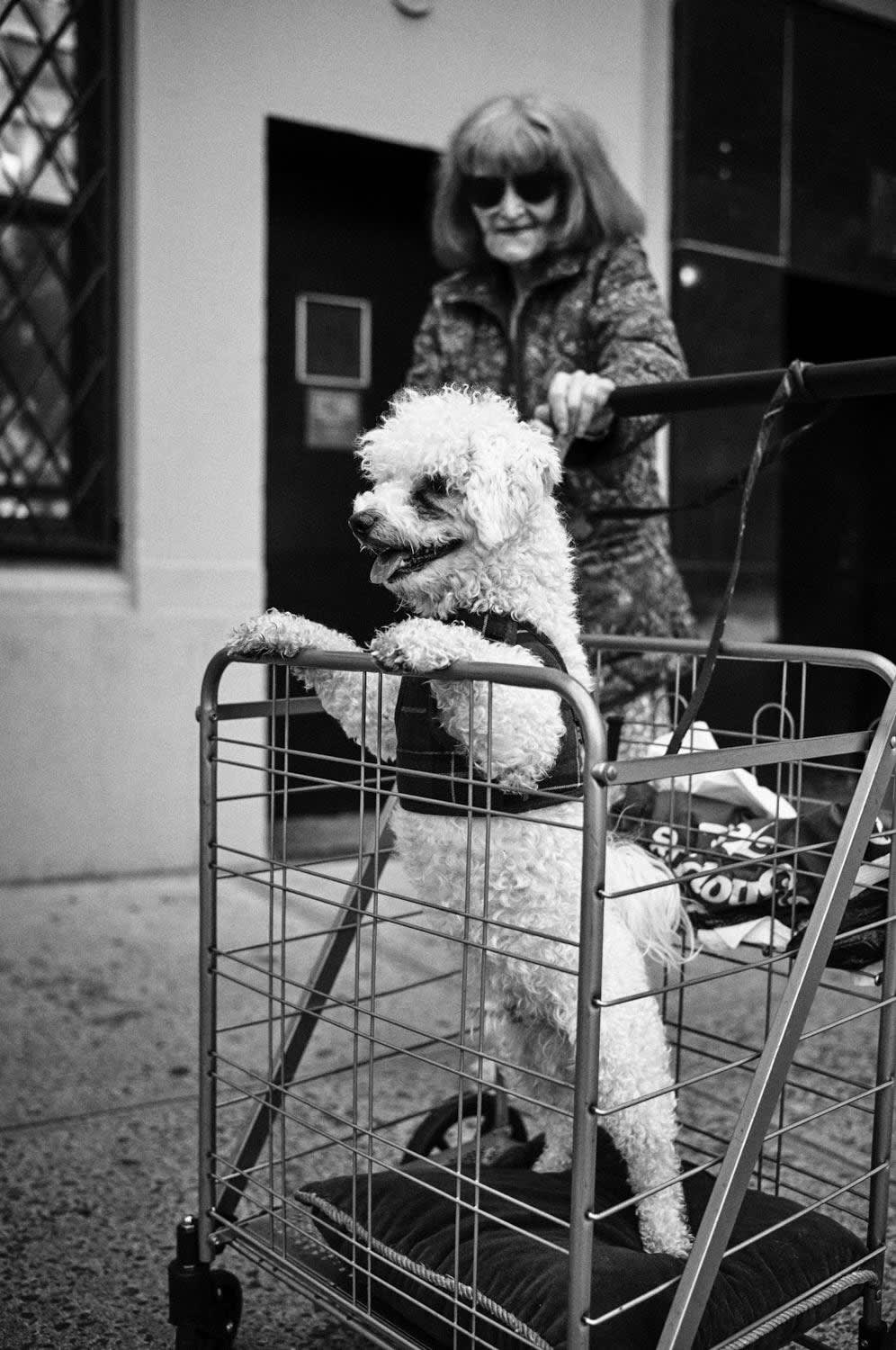 10.04.23 / New York City