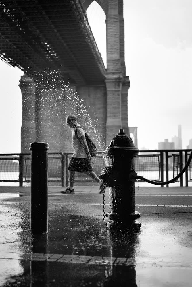 Copyright Michael Lomanaco