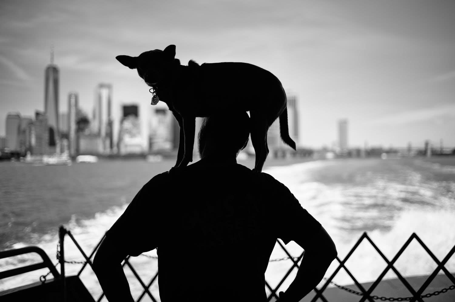 "ROBERT AND BLUE" NYC 2022 Picture by Phil Penman