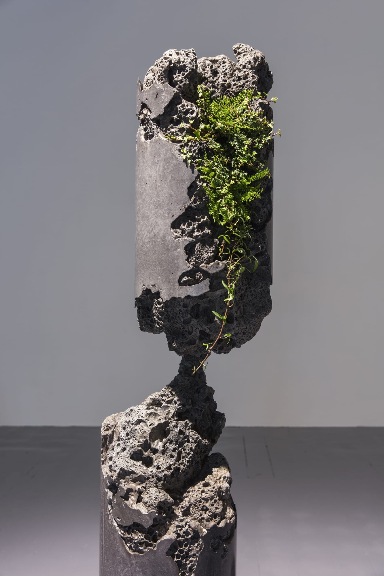 Jamie North Forward Projection (detail), 2019 Concrete, blast furnace slag, steel, epoxy and plants 300 (diameter) x 160 cm