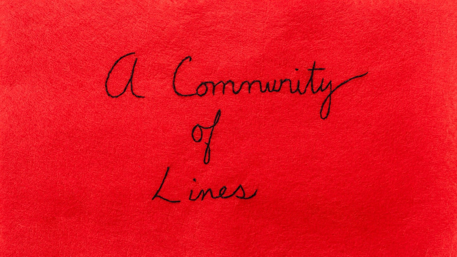A Community Of Lines 2017 Needlework on Red Felt 34 x 60 cm
