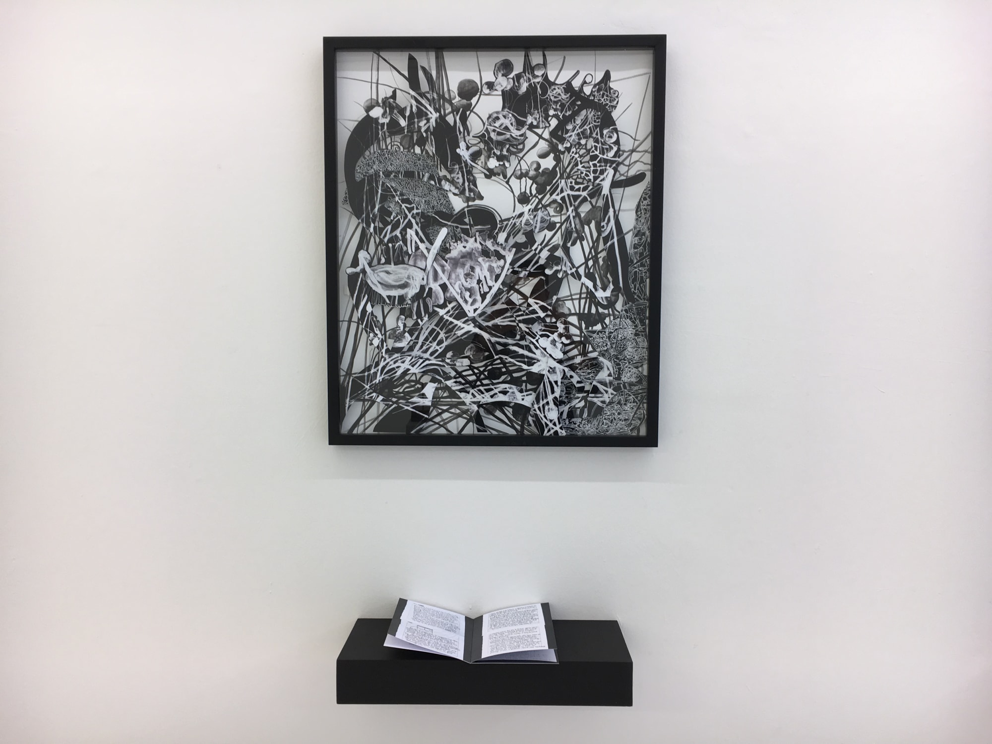 Sovay Berriman, Ilana Halperin, Iz Oztat, Lindsay Seers, and Michelle Williams Gamaker