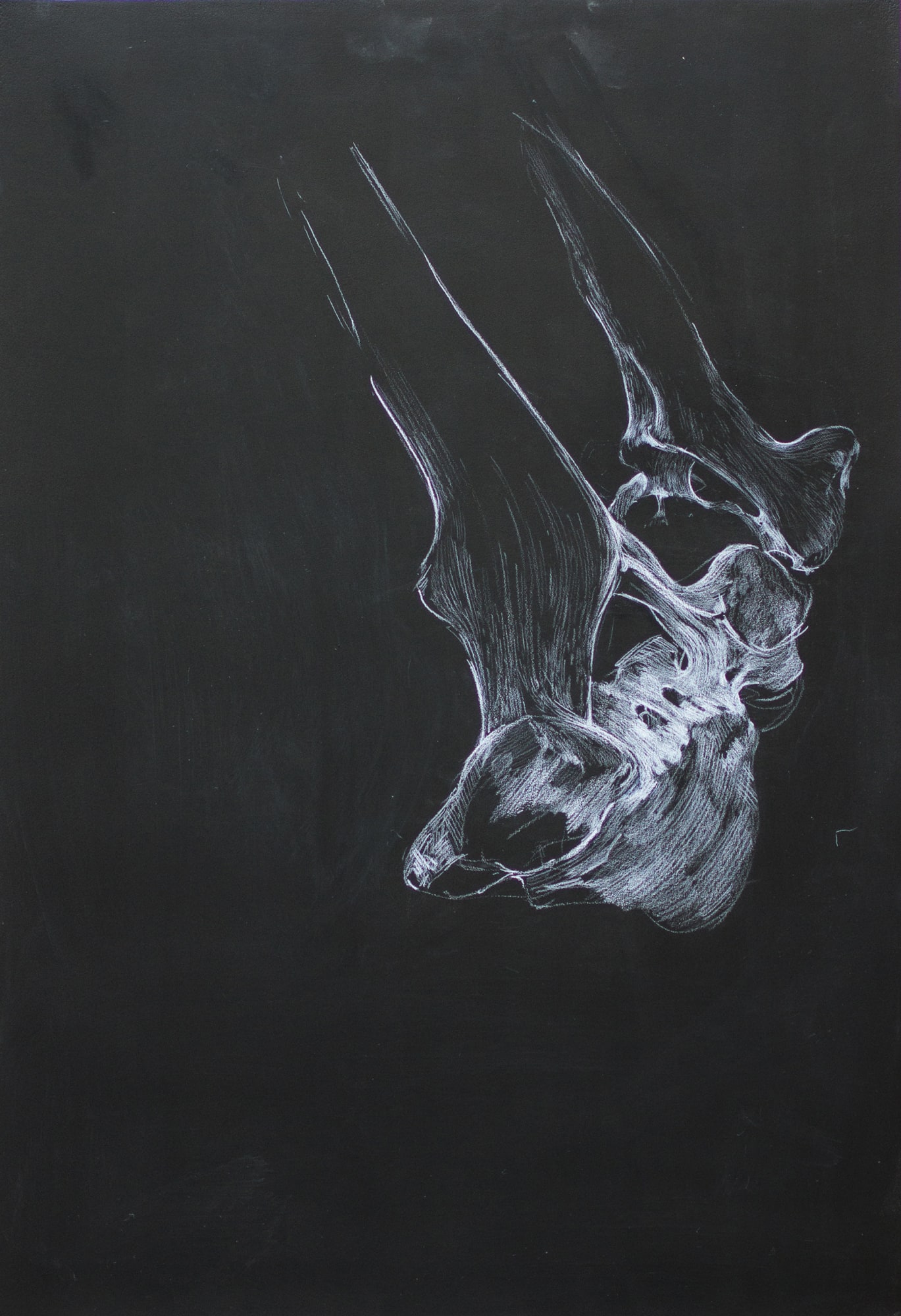 Bone Study II 2021 Chinagraph on Blackboard 73.5 x 50 cm