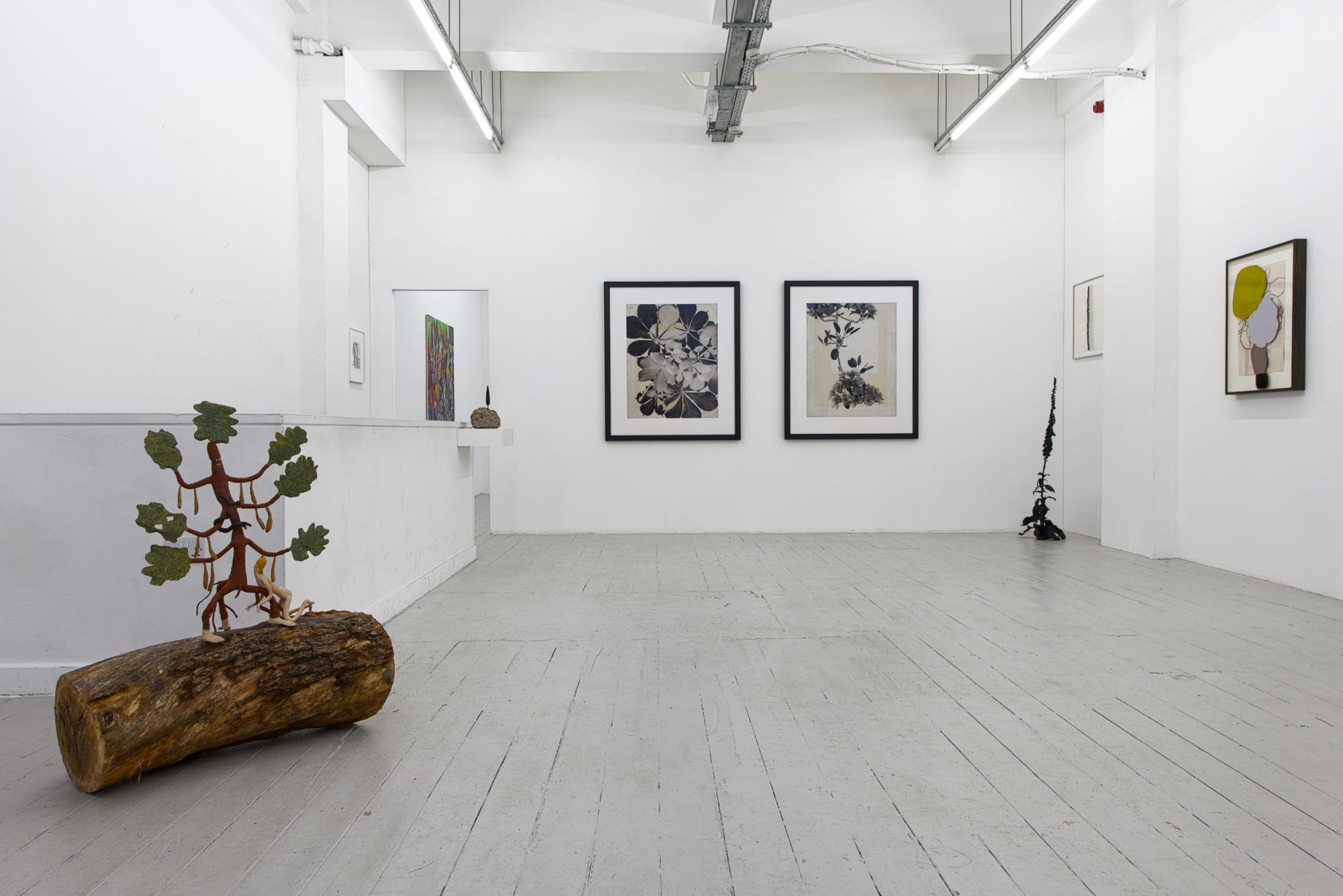 TREES DIE STAND: Plants and humans Curated by Freda Uziyel