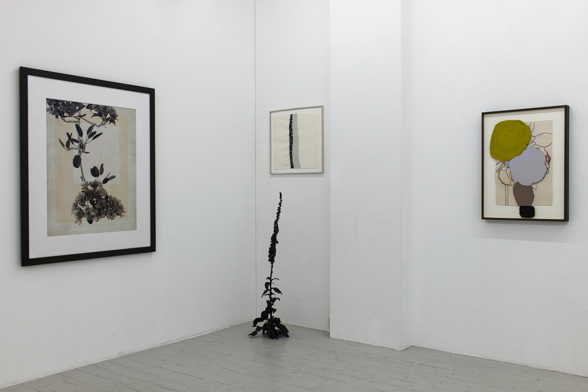 TREES DIE STAND: Plants and humans Curated by Freda Uziyel