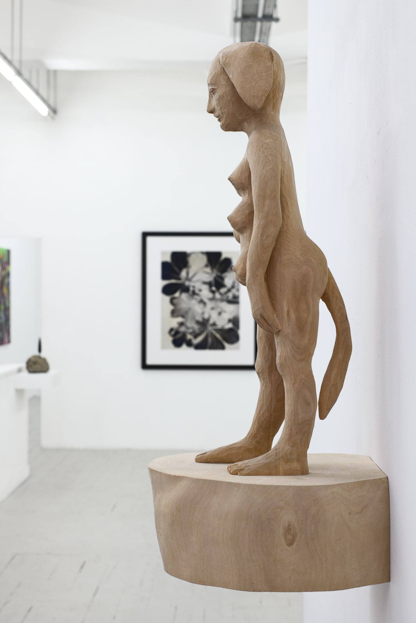 TREES DIE STAND: Plants and humans Curated by Freda Uziyel