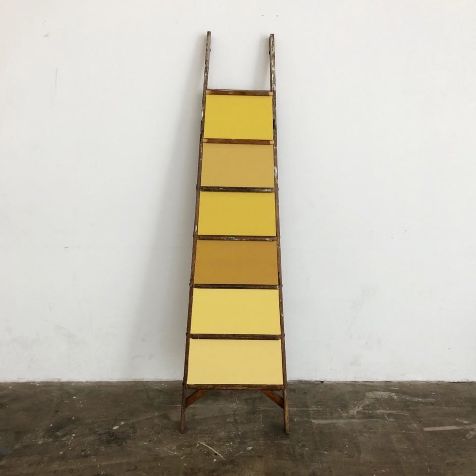 Matt Golden | Golden Family