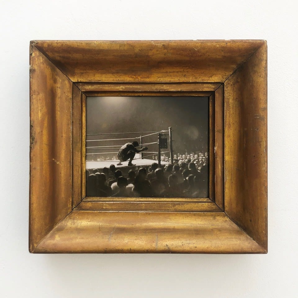 Matt Golden | Golden Family