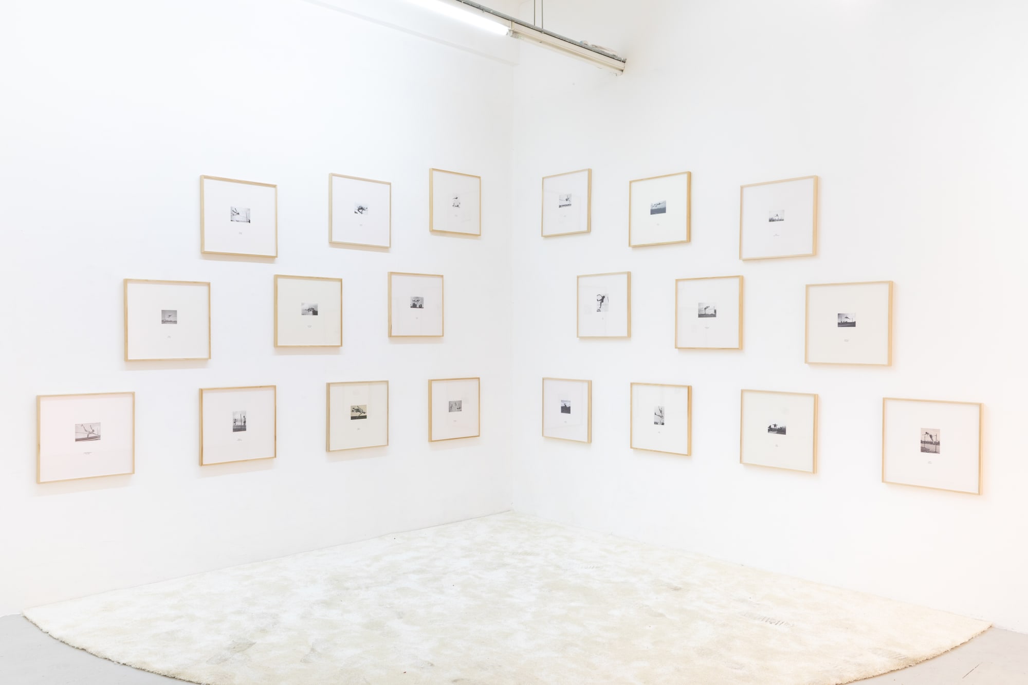 Matt Golden | Golden Family