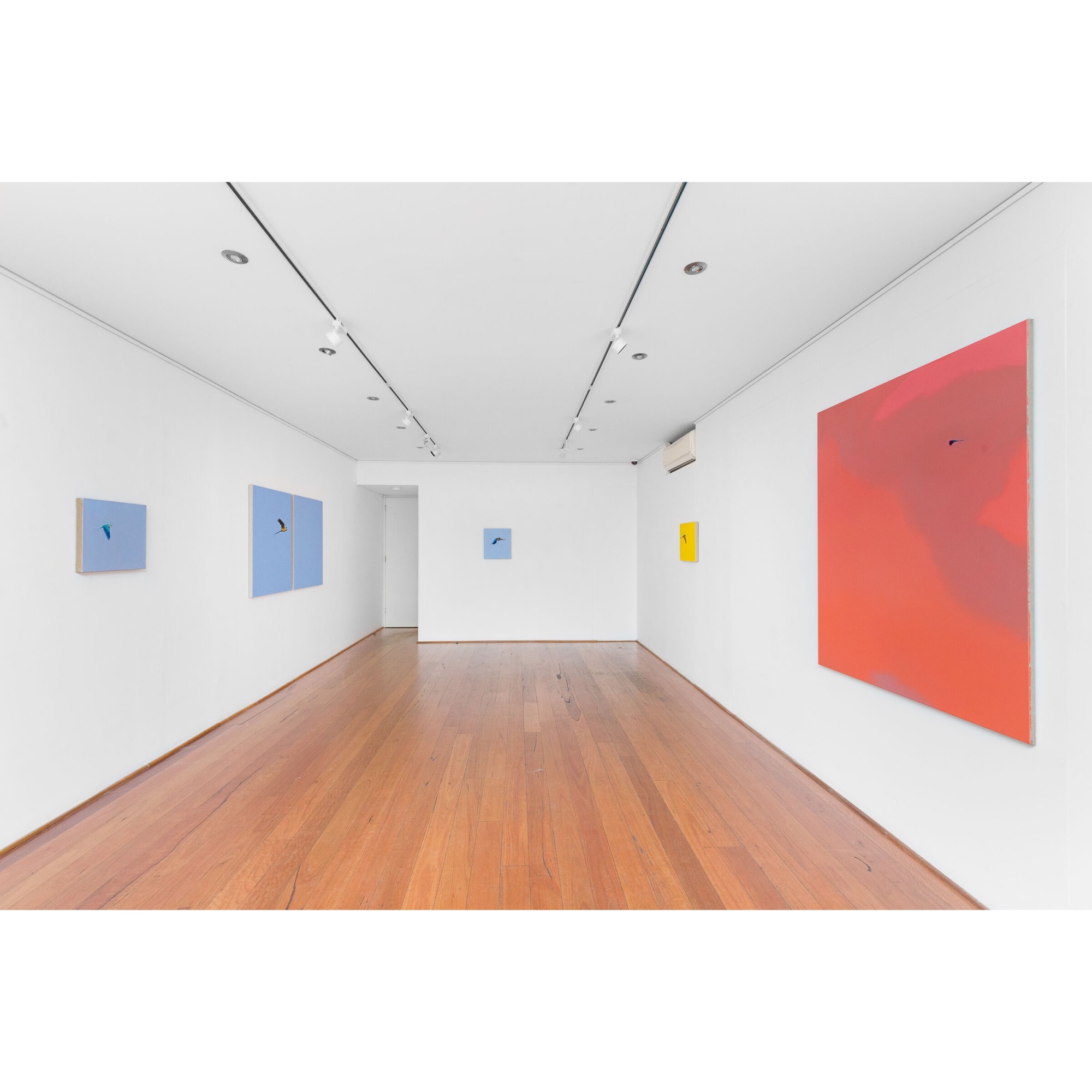 install shot: Matthew Kentmann Blue & Gold