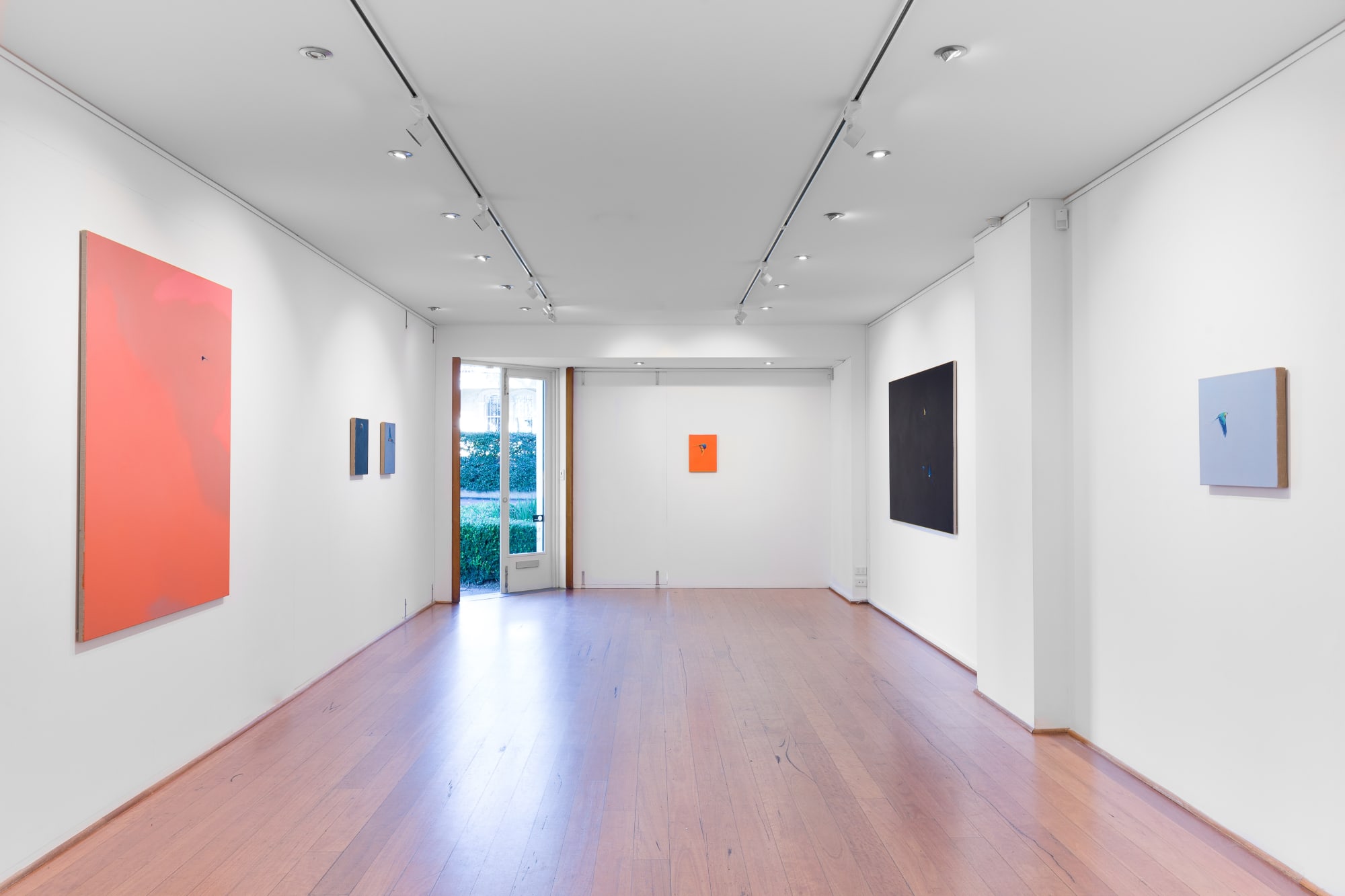 install shot: Matthew Kentmann Blue & Gold