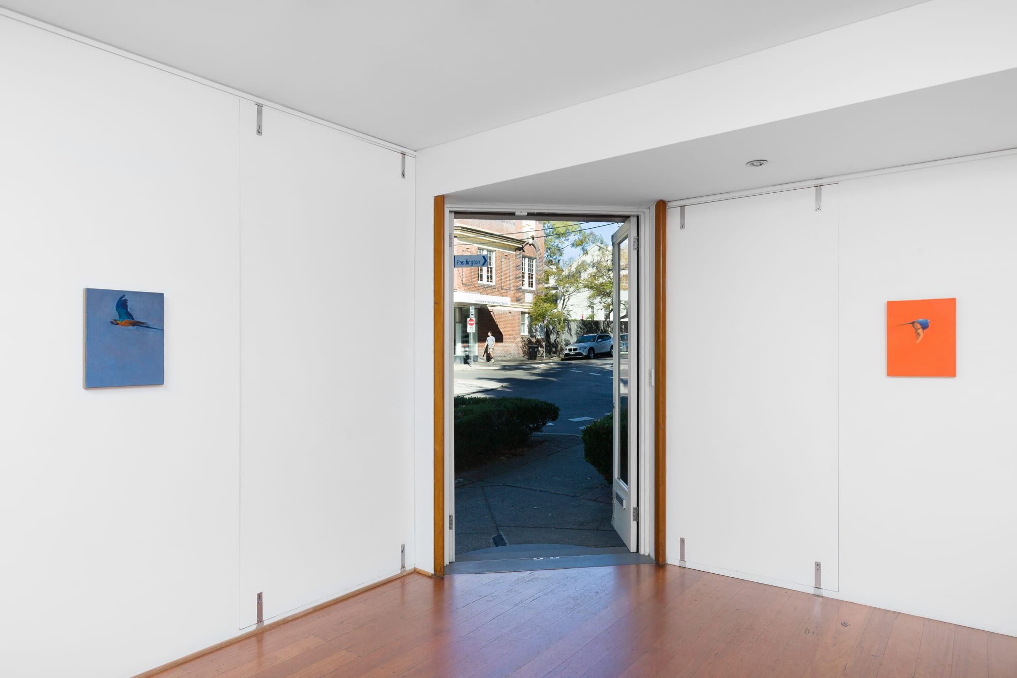 install shot: Matthew Kentmann Blue & Gold