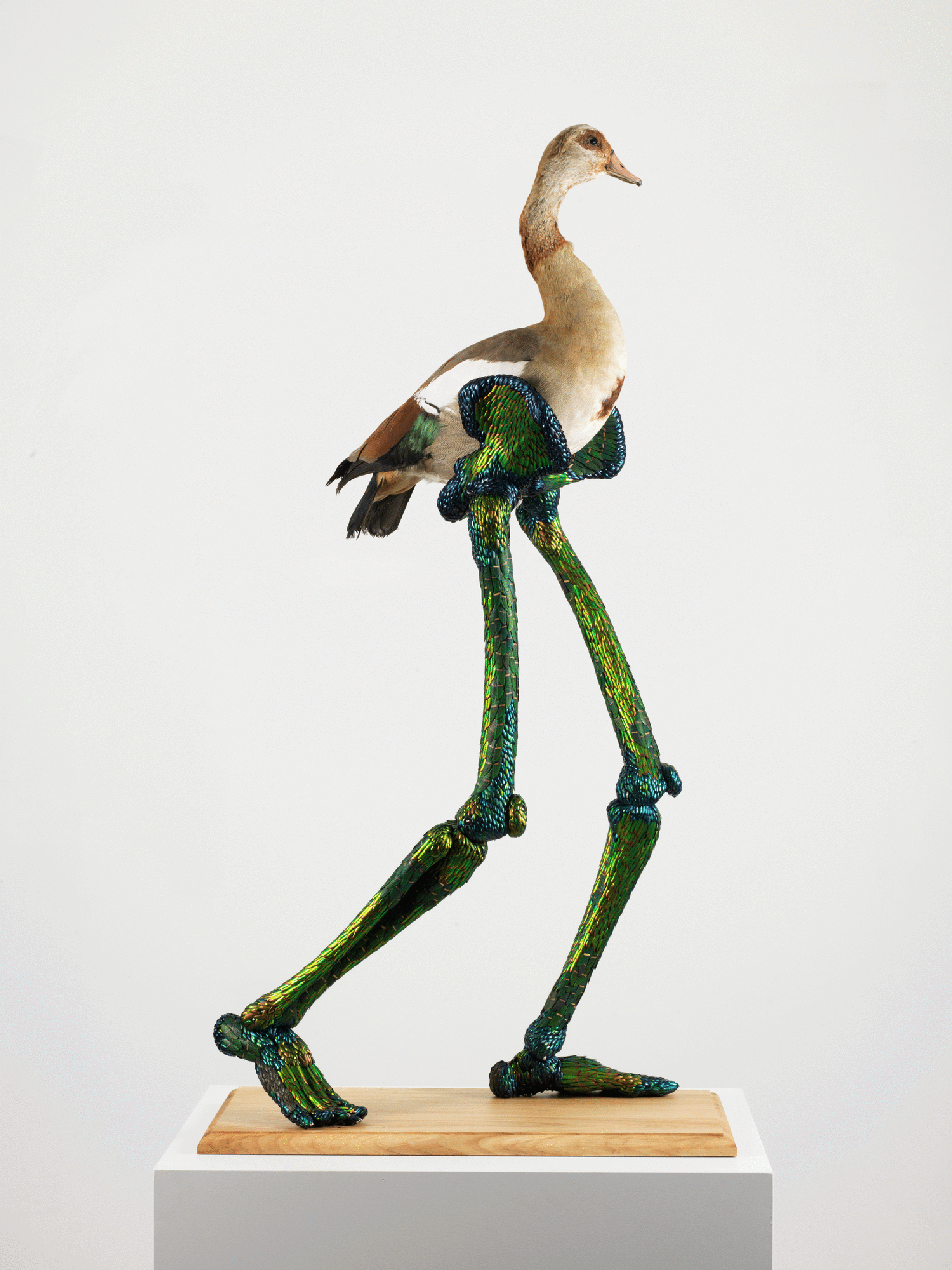 DIVINE FERTILITY, 2015