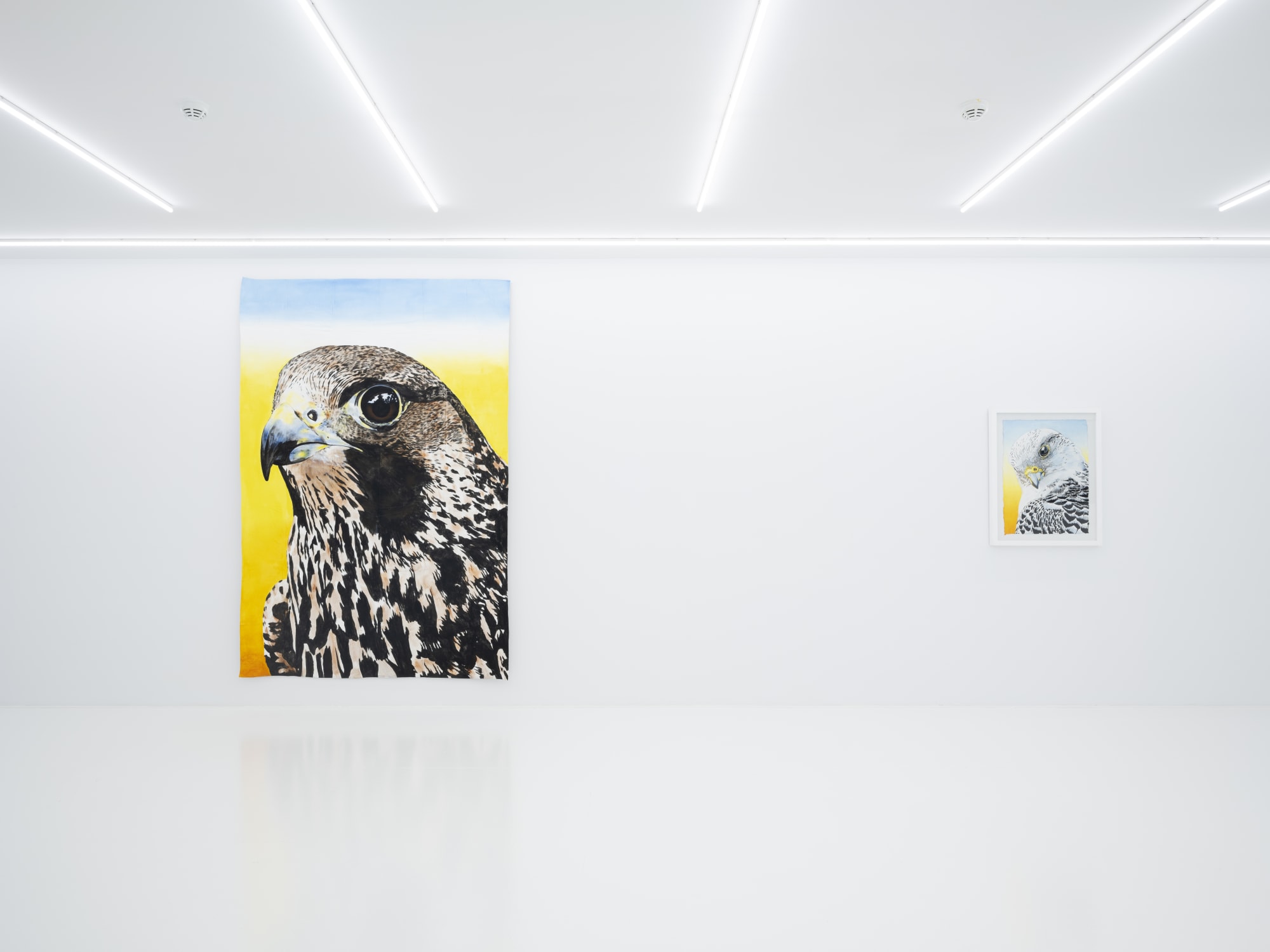 BEN BEYİNSİZ BİR APTALIM