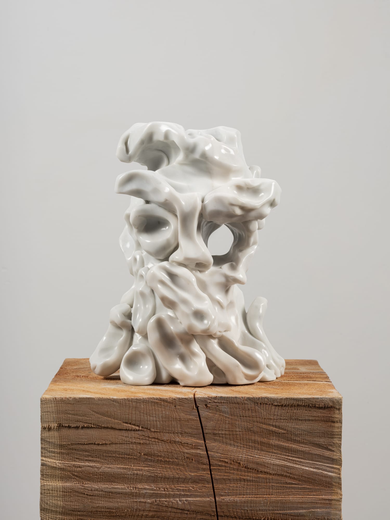 Bust of Aoife's Son, 2022