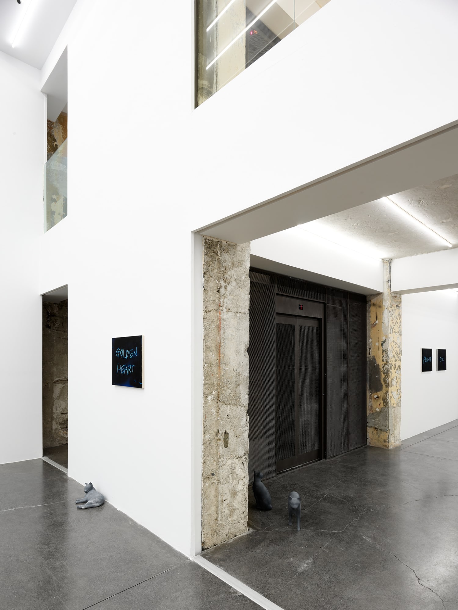 RYAN GANDER - PUSSIES AND PLACES