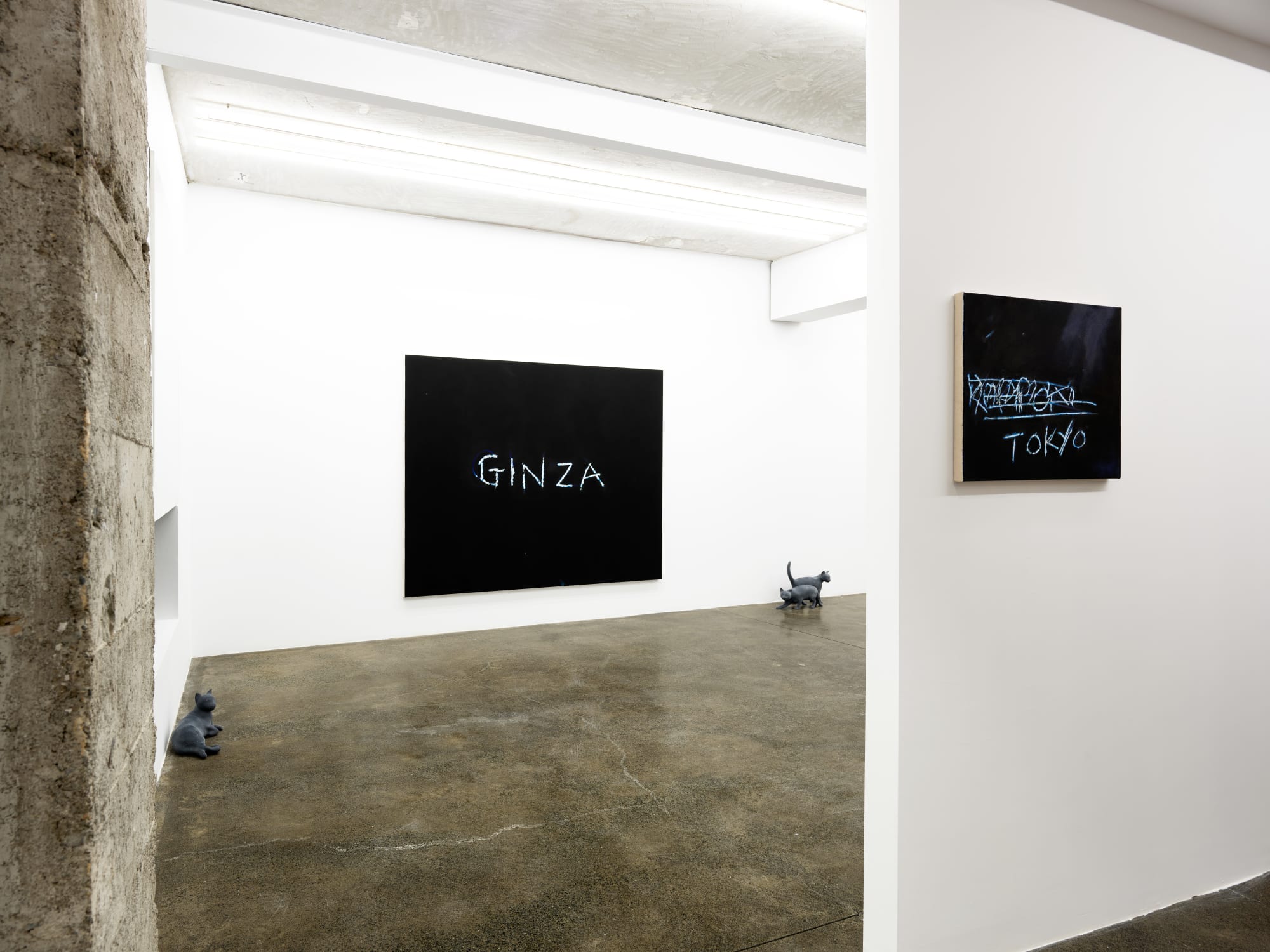 RYAN GANDER - PUSSIES AND PLACES