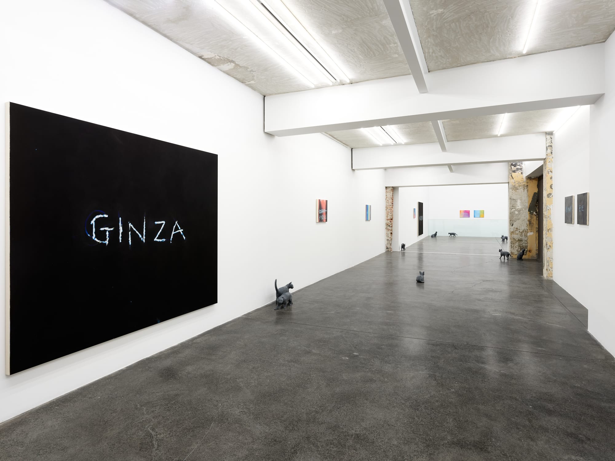 RYAN GANDER - PUSSIES AND PLACES