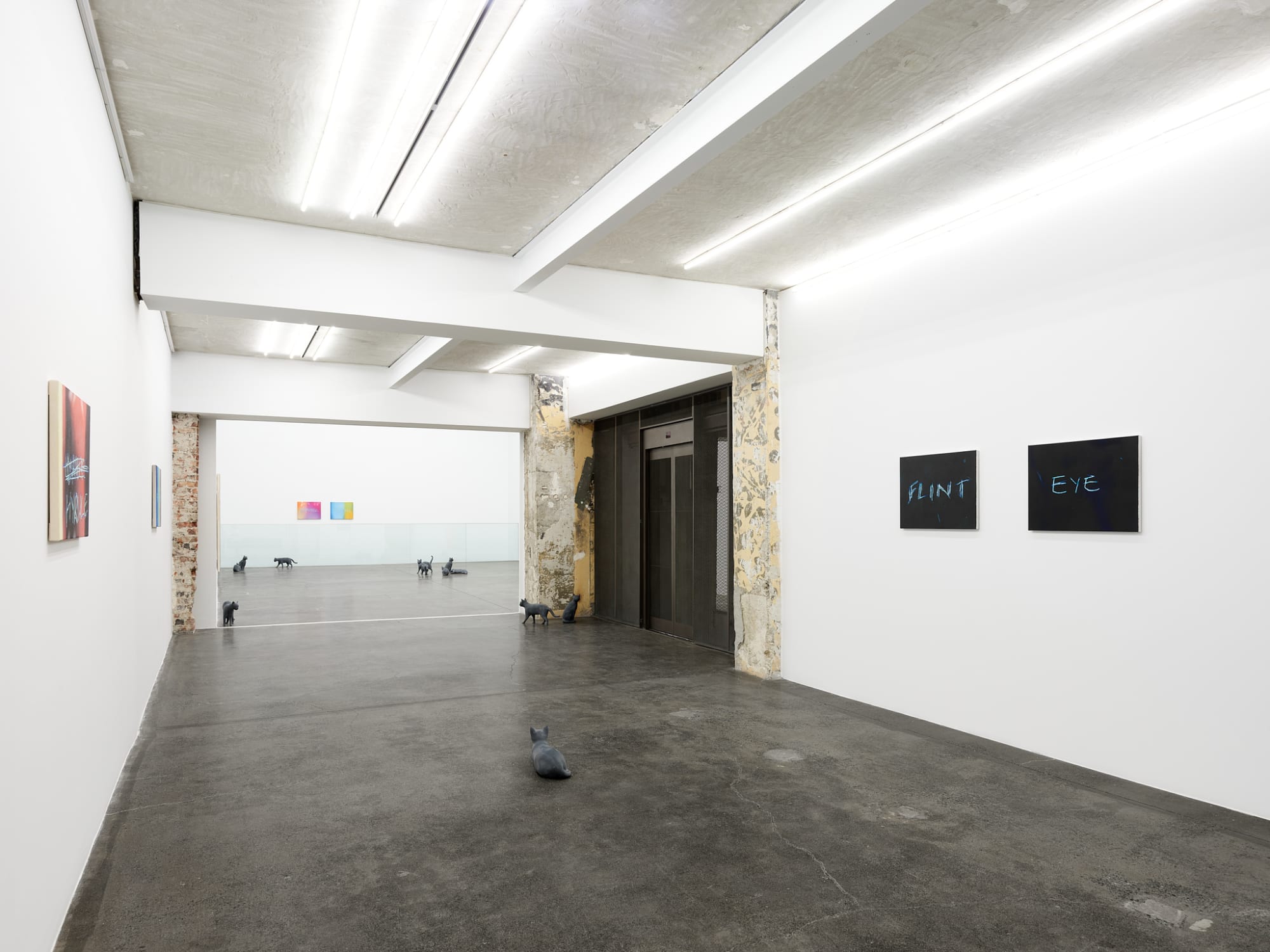 RYAN GANDER - PUSSIES AND PLACES