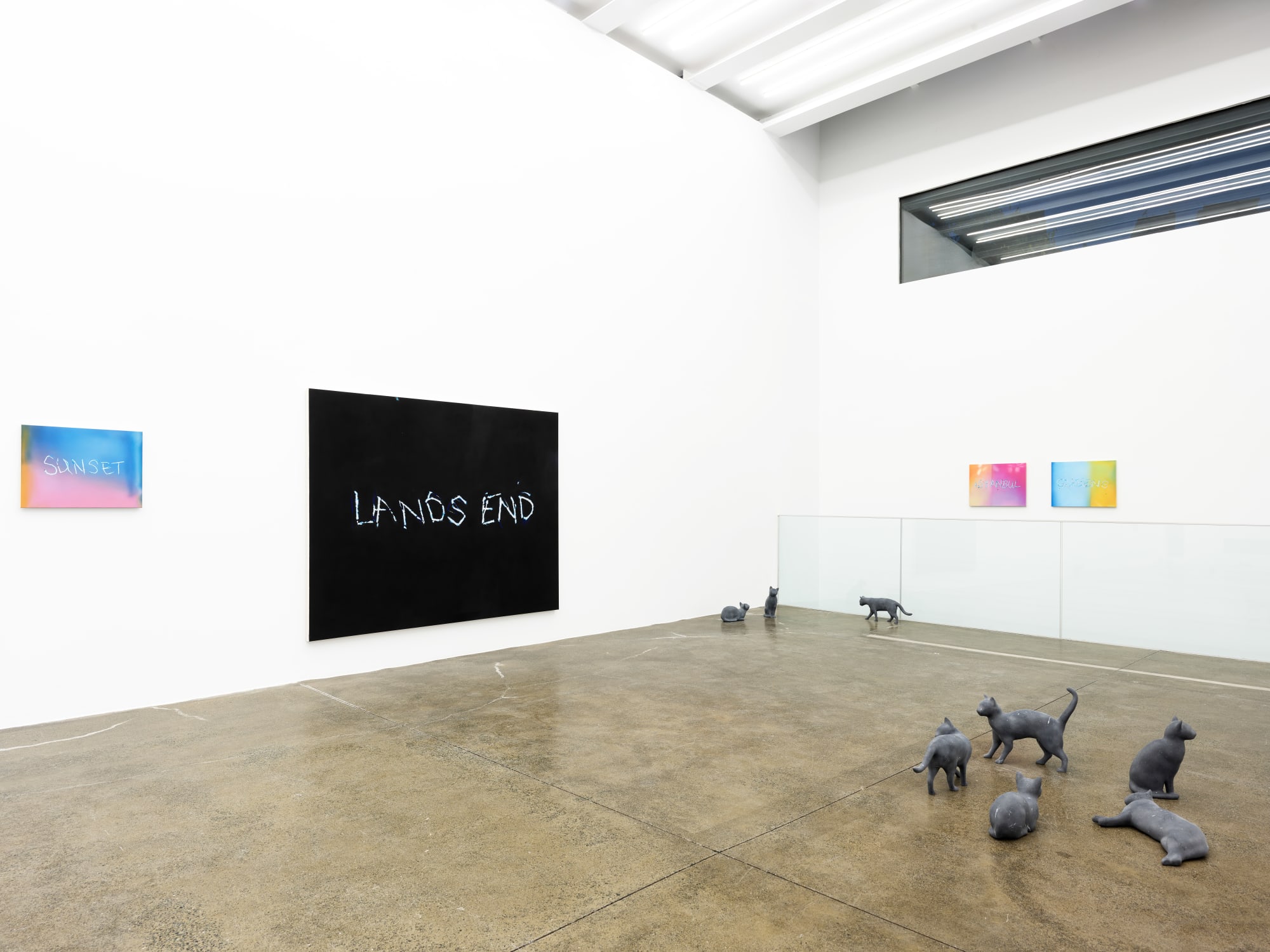 RYAN GANDER - PUSSIES AND PLACES