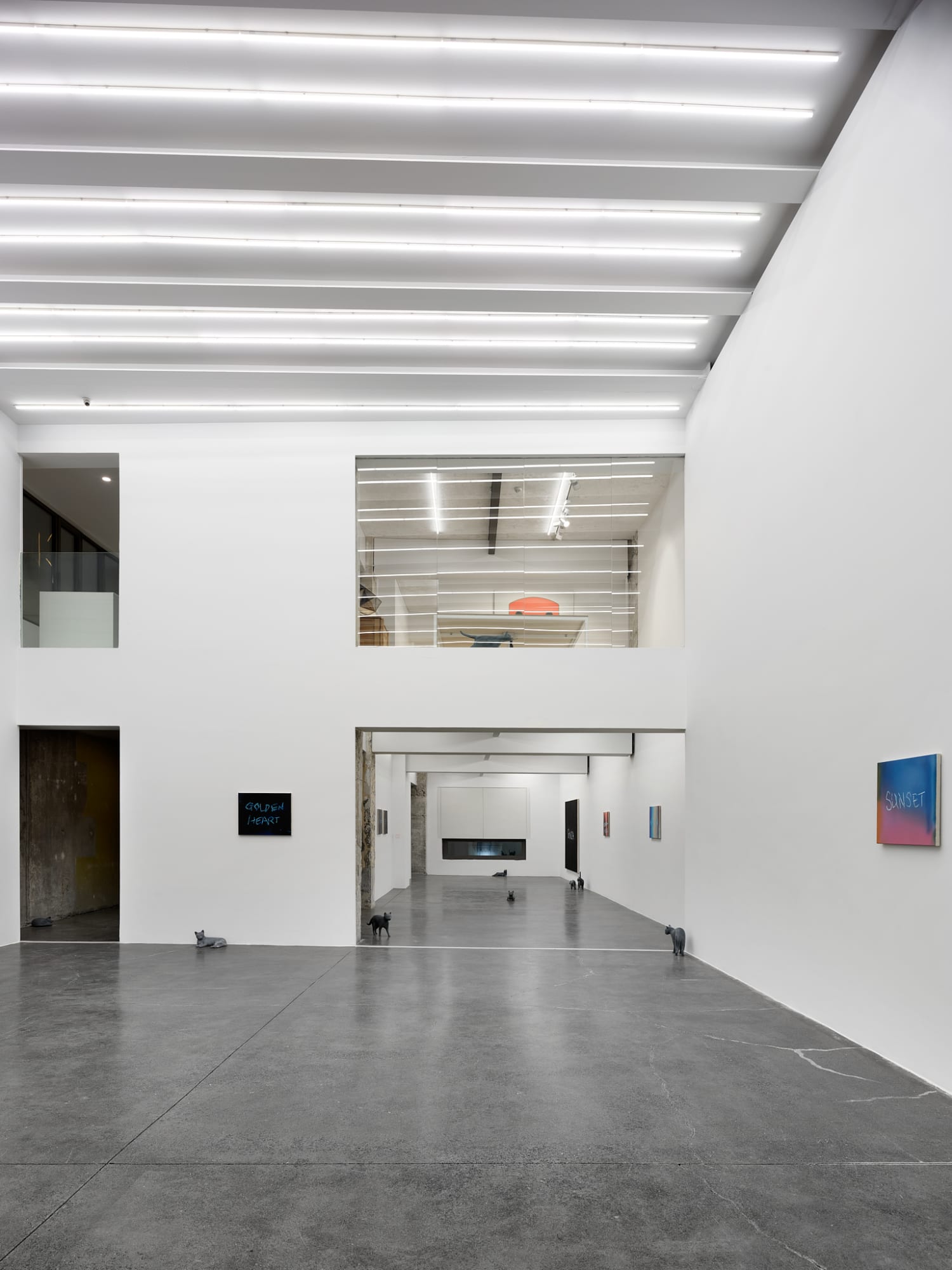 RYAN GANDER - PUSSIES AND PLACES