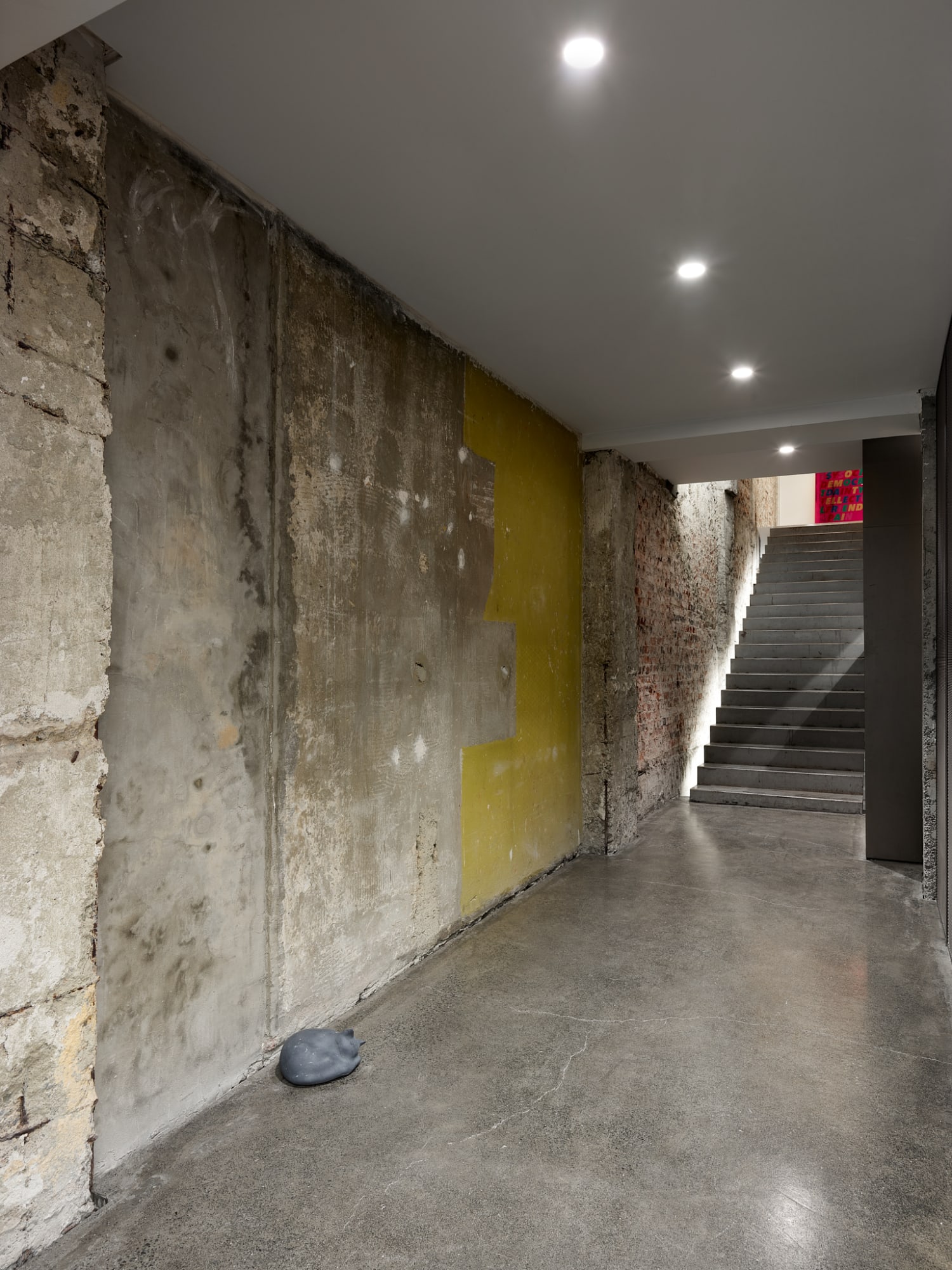 RYAN GANDER - PUSSIES AND PLACES