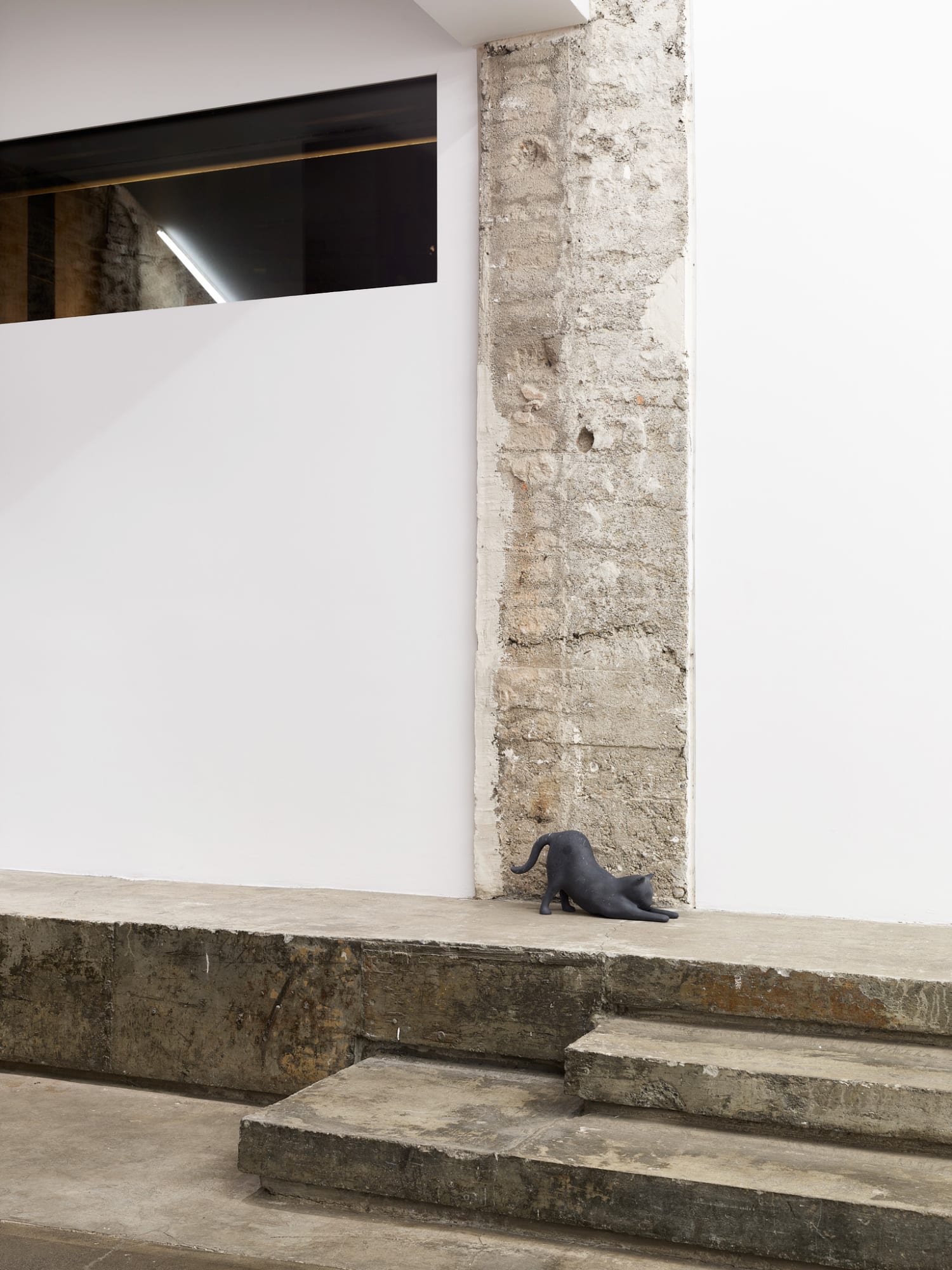 RYAN GANDER - PUSSIES AND PLACES