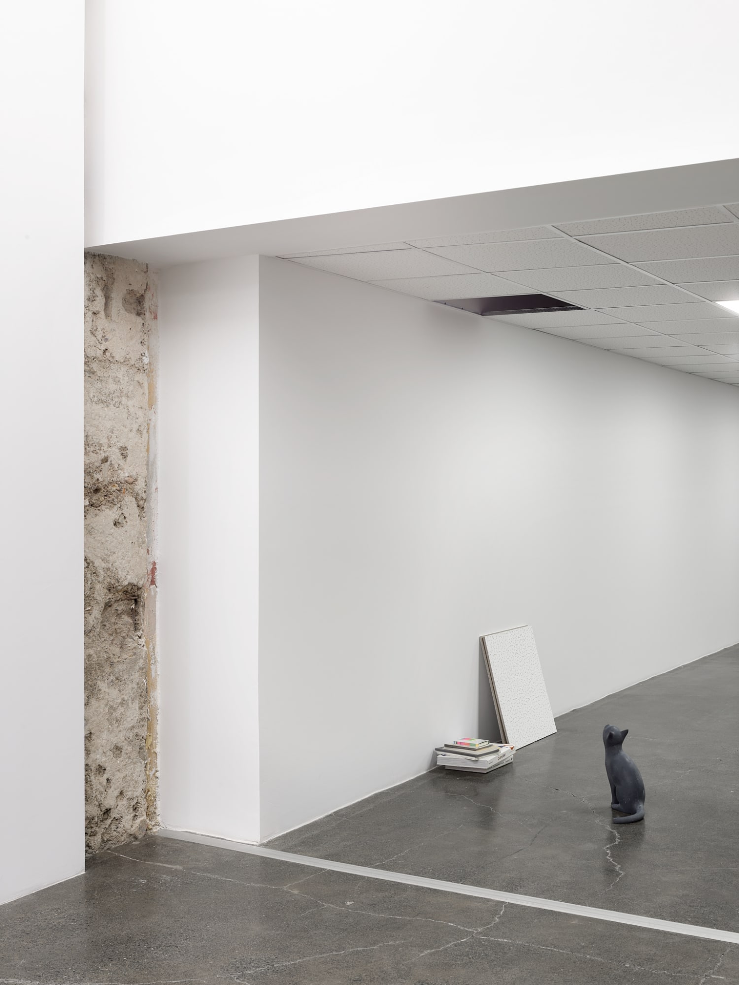 RYAN GANDER - PUSSIES AND PLACES