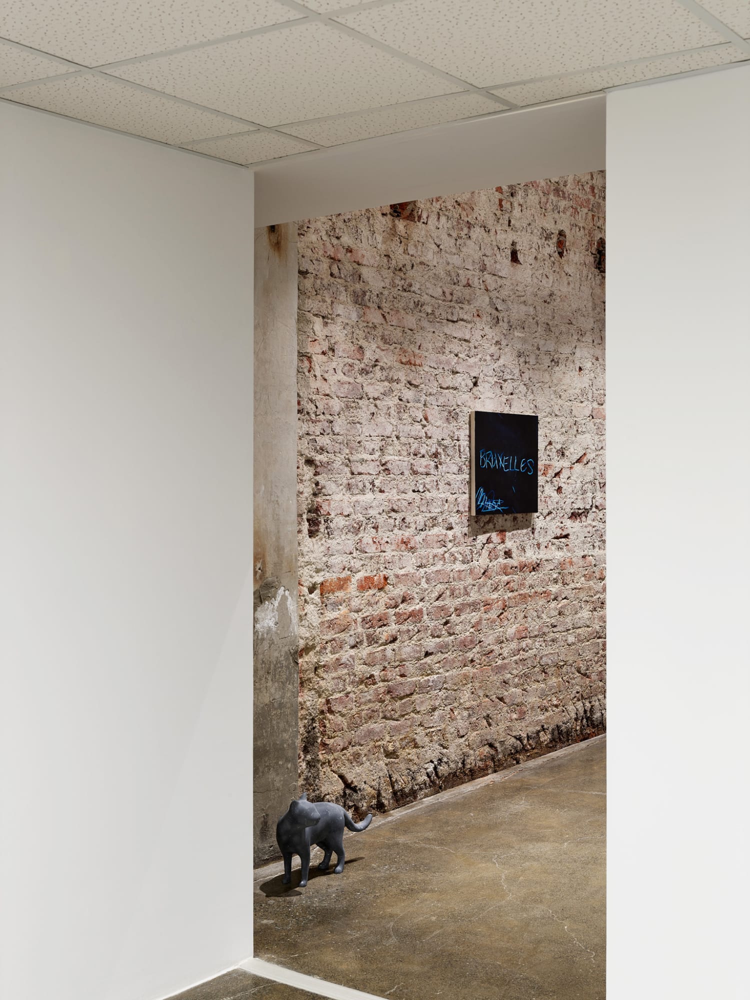 RYAN GANDER - PUSSIES AND PLACES