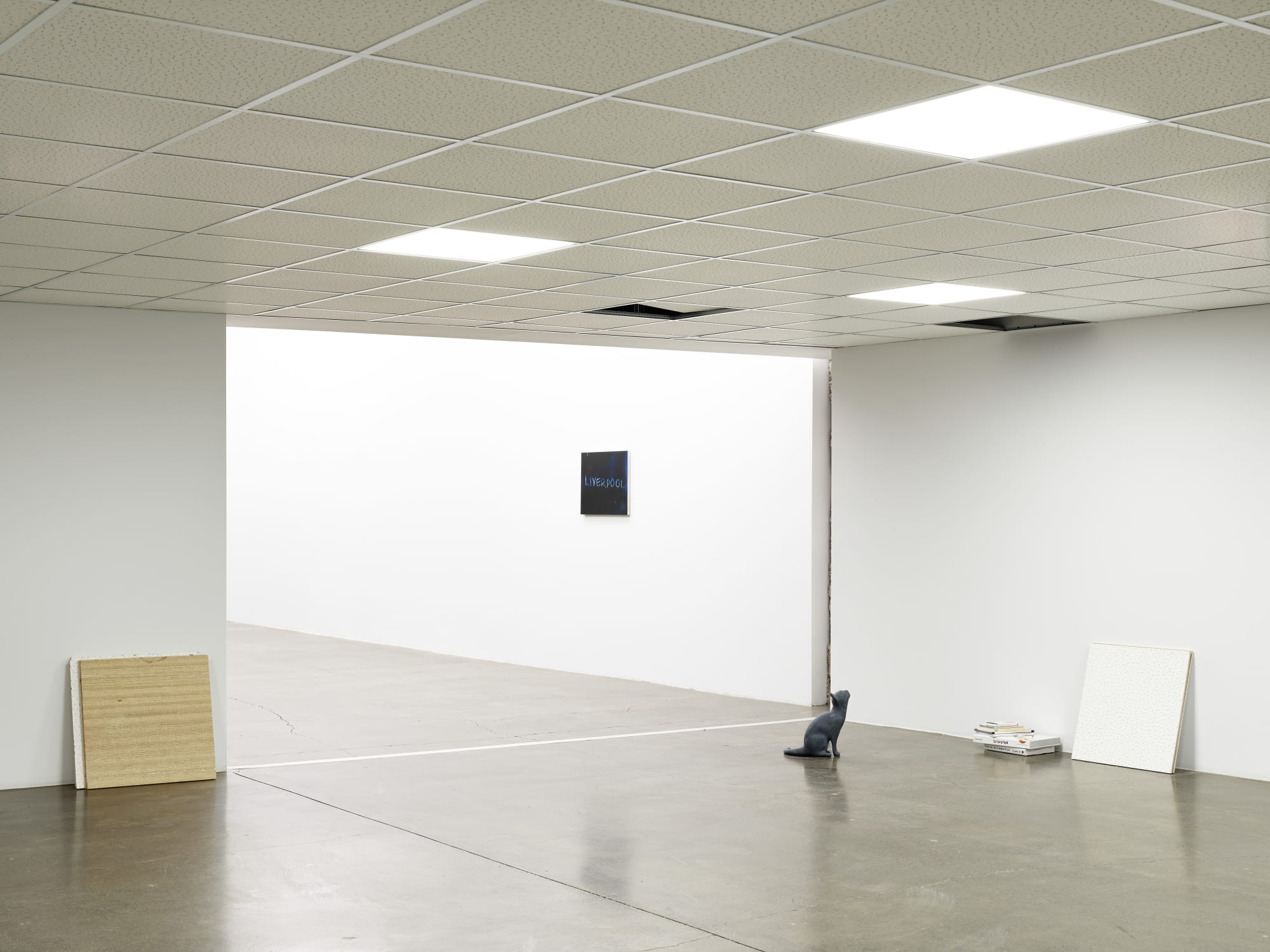 RYAN GANDER - PUSSIES AND PLACES