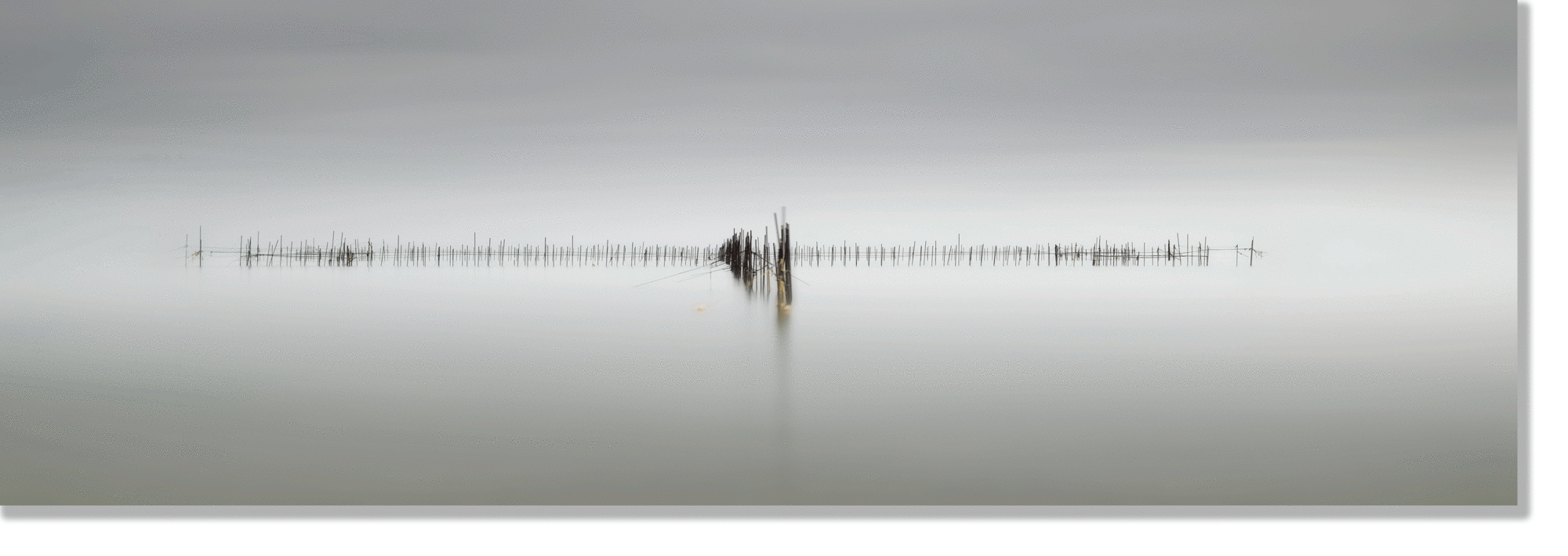 Heartbeat of the World, 2019