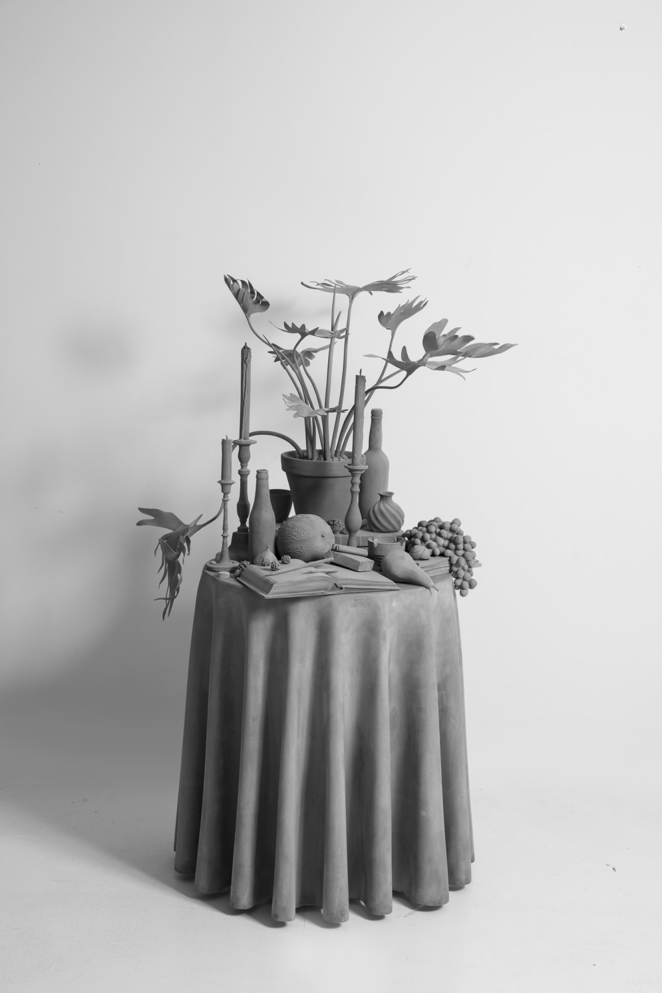 Vanitas Table (plant), 2017