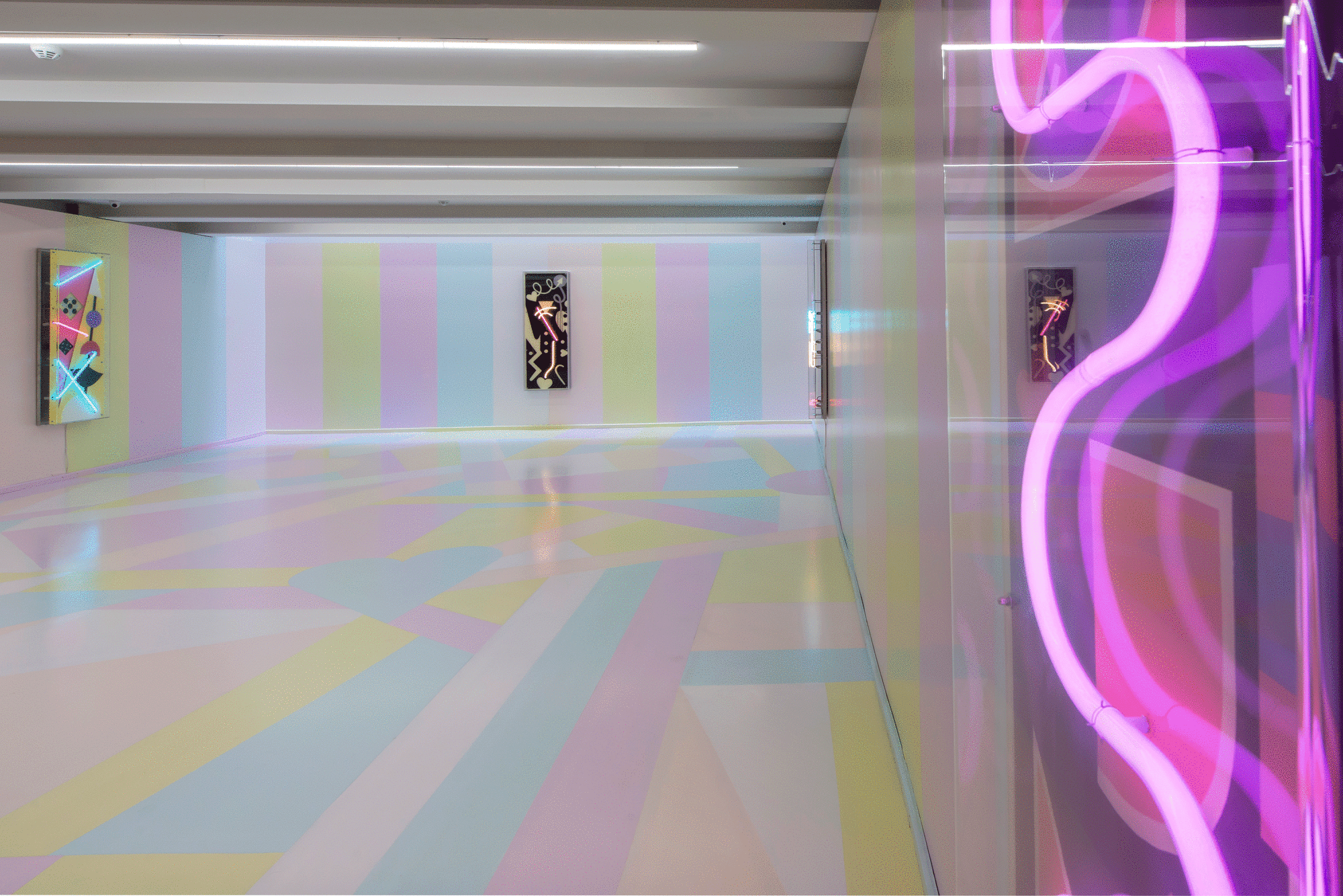 EVREN TEKİNOKTAY, LOTUS