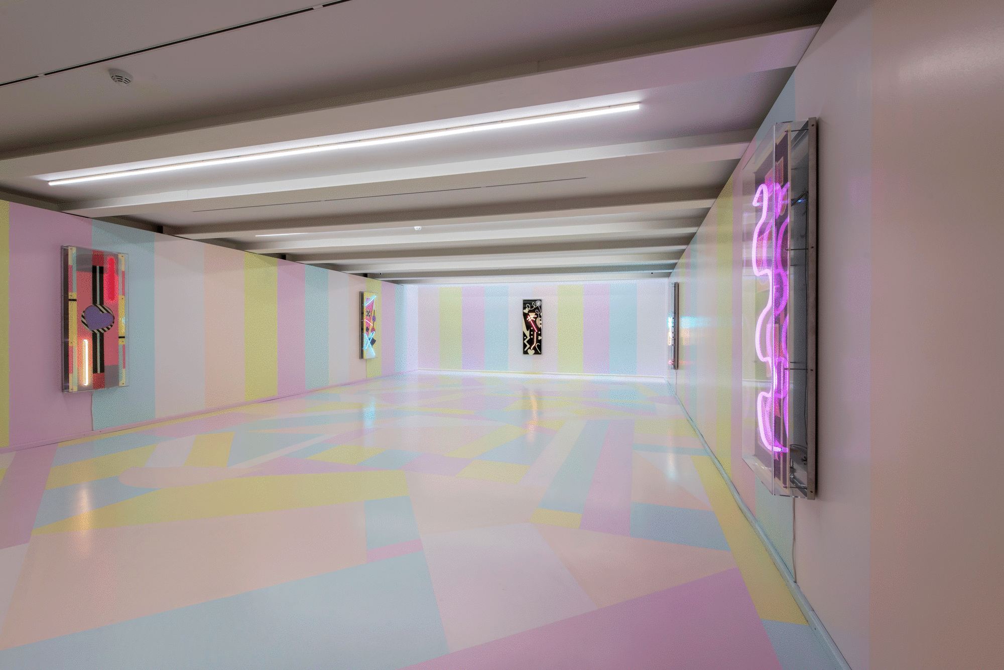 EVREN TEKİNOKTAY, LOTUS