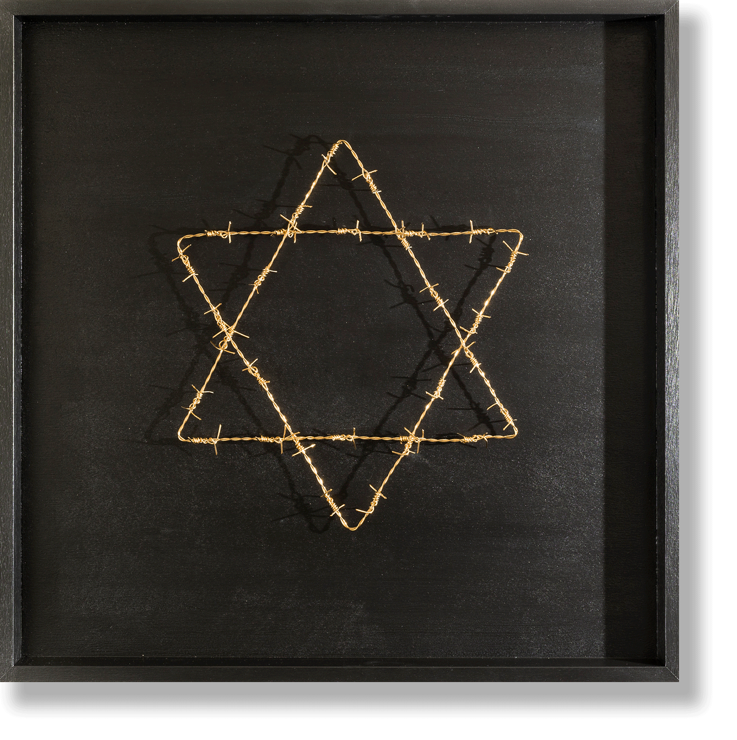 Arik Levy BarbedWire Shield, 2018