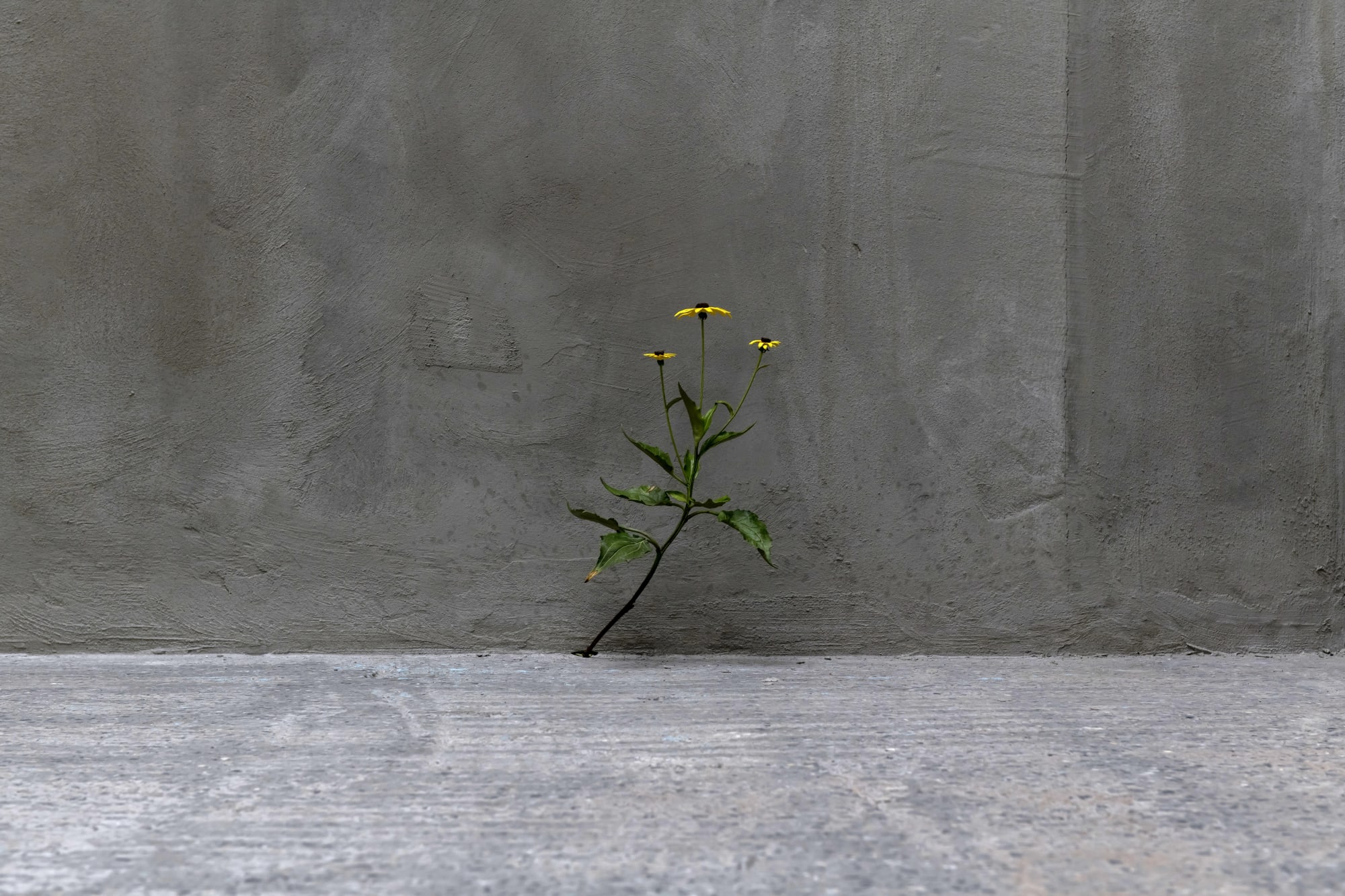 AT THE FACTORY: 10 ARTISTS, 10 INDIVIDUAL PRACTICES