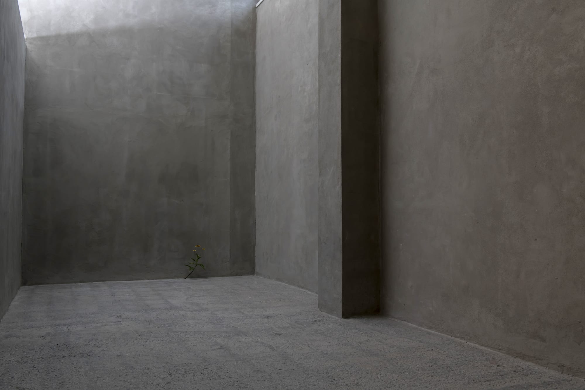 AT THE FACTORY: 10 ARTISTS, 10 INDIVIDUAL PRACTICES