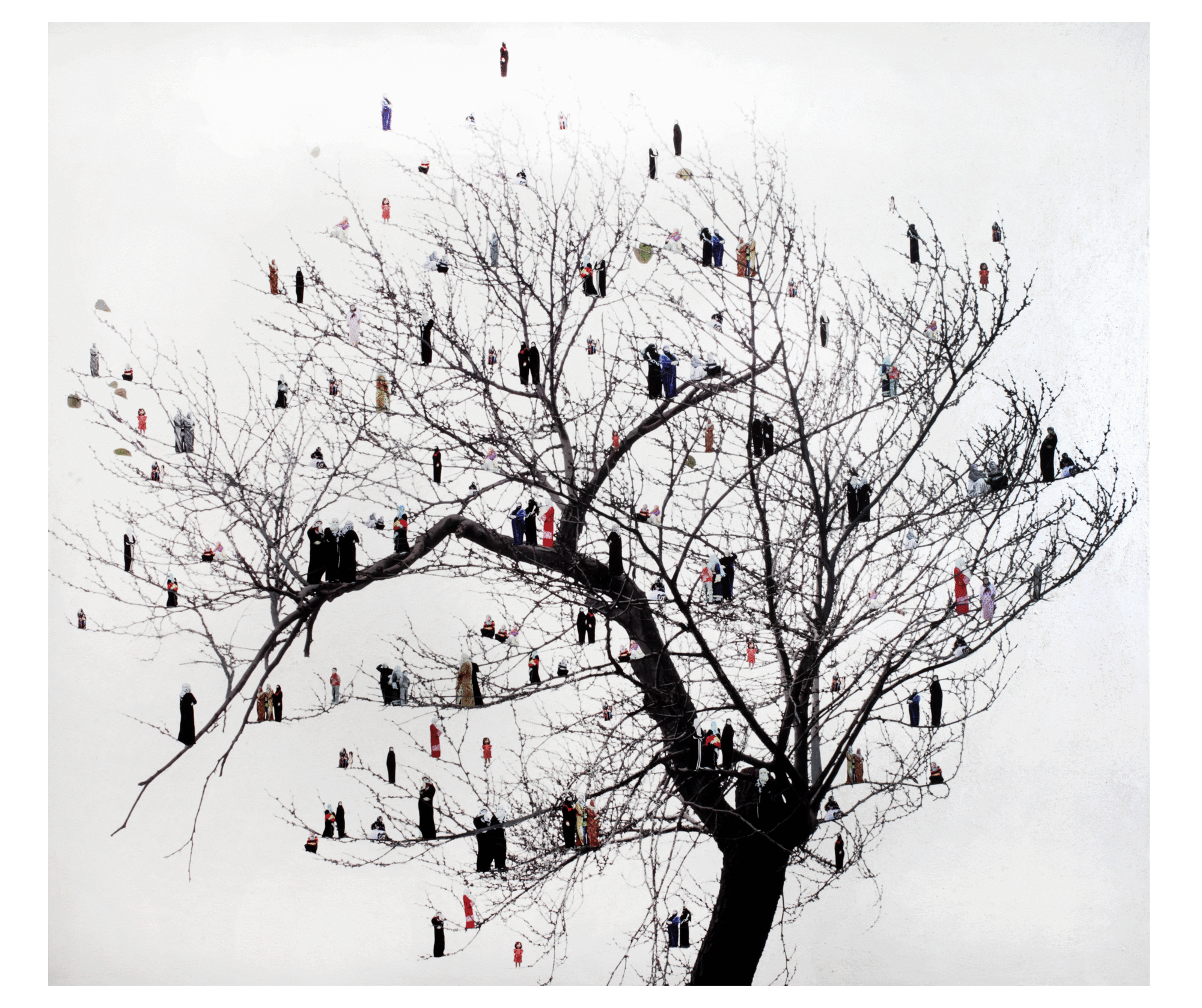 Birds are singing, 2018