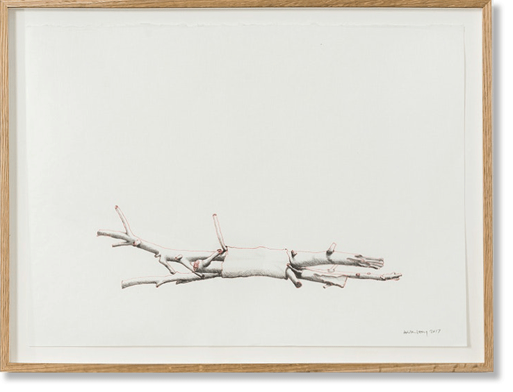 FixingNature D47, 2017