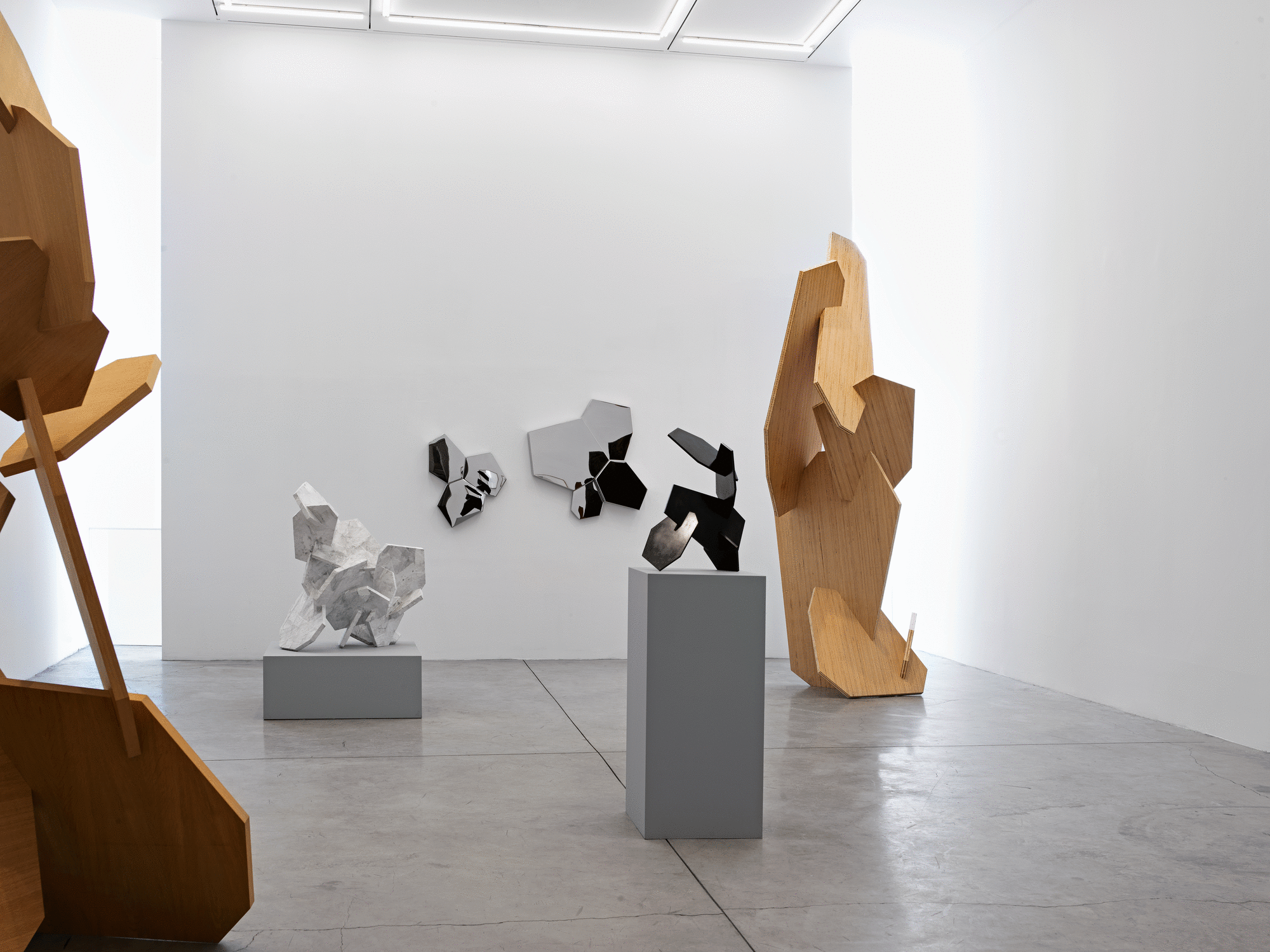 ARIK LEVY, VAROLUŞ KAVŞAĞI