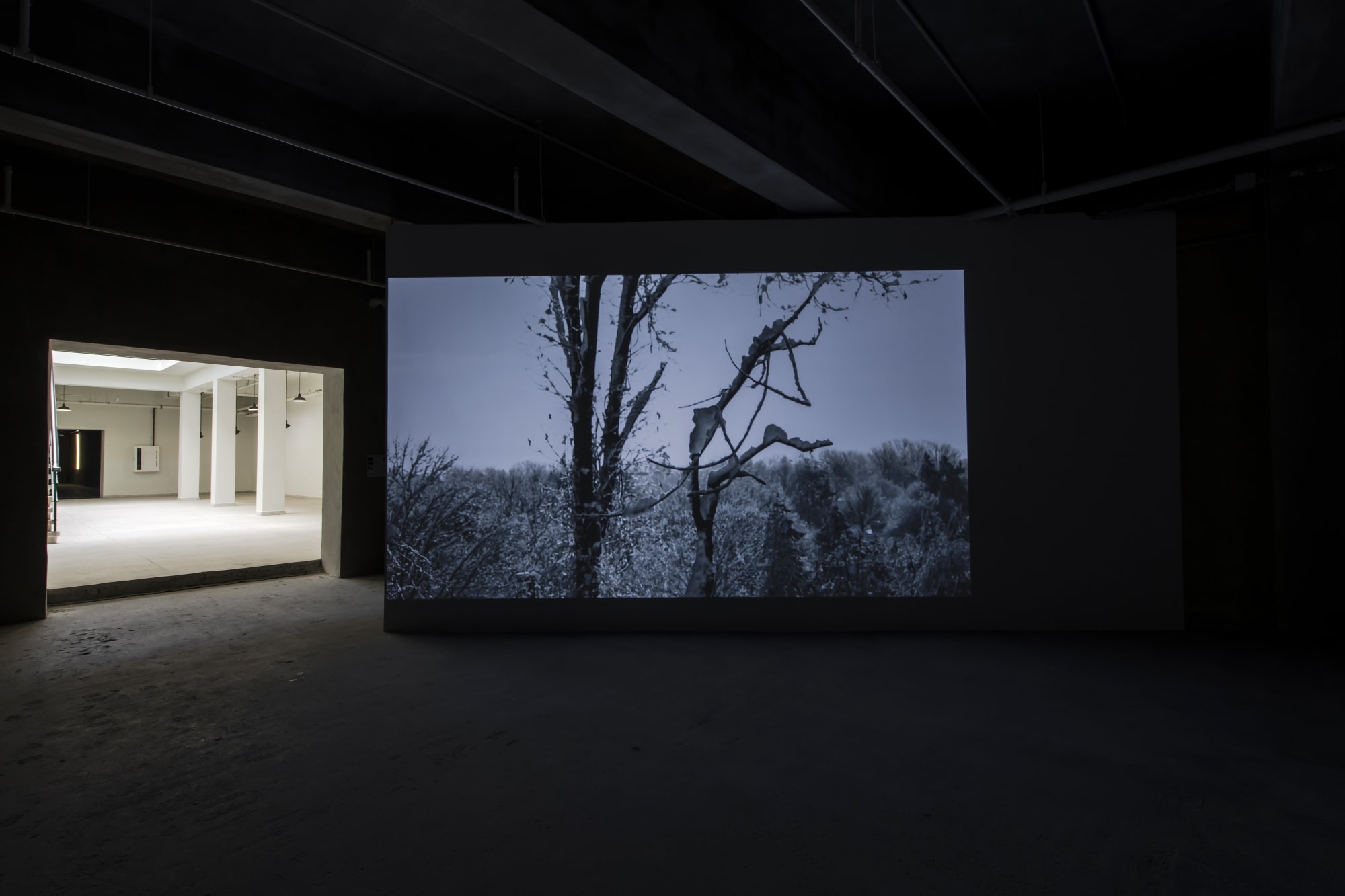 ŞENER ÖZMEN, A NEW HOPELESSNESS