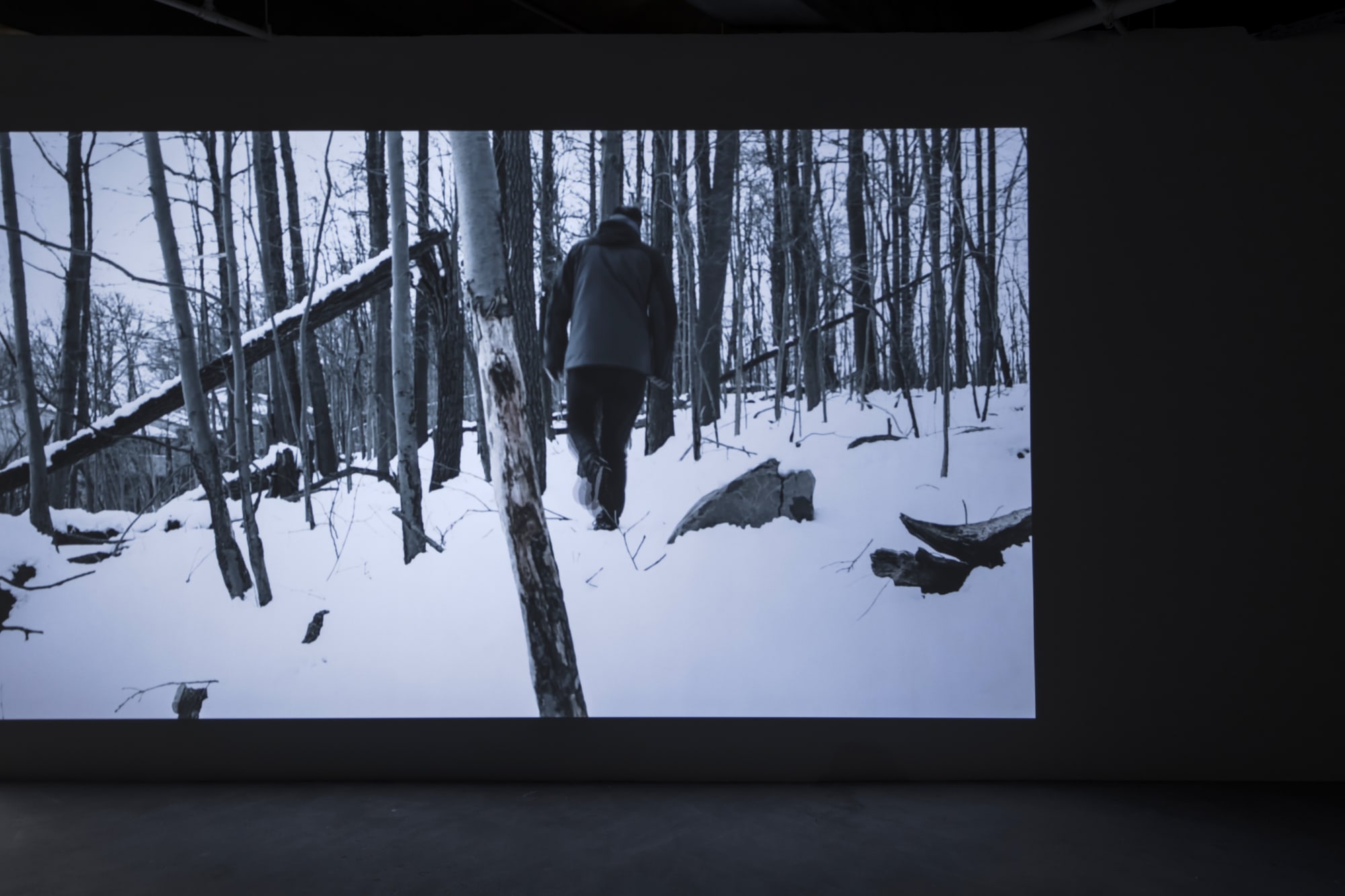 ŞENER ÖZMEN, A NEW HOPELESSNESS