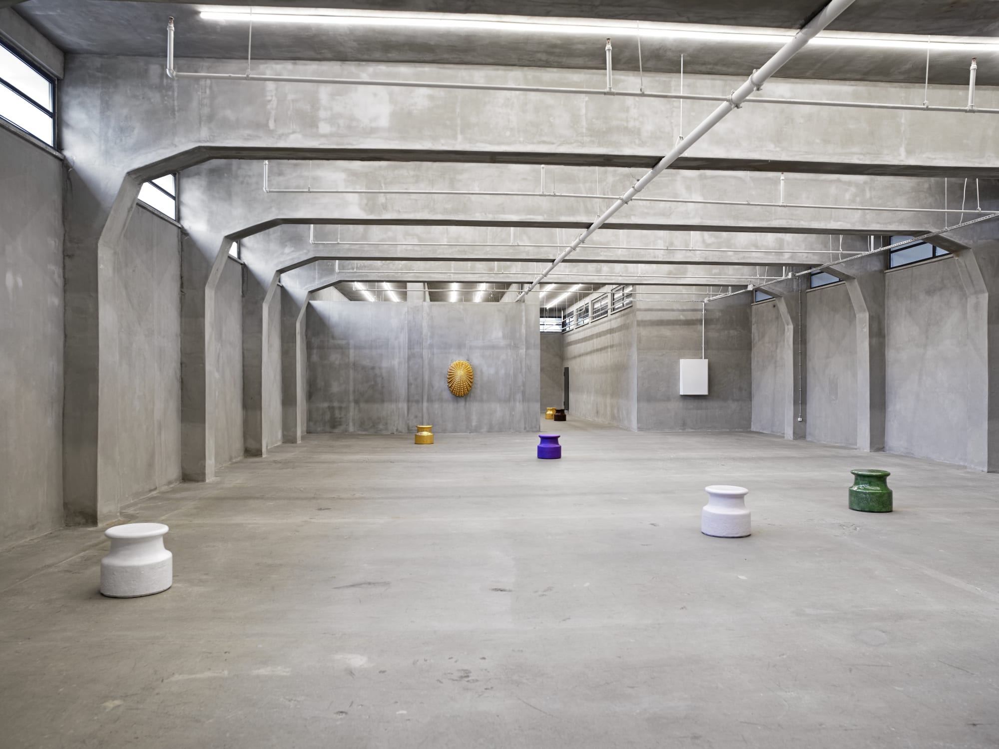 JOHAN CRETEN, THE VIVISECTOR