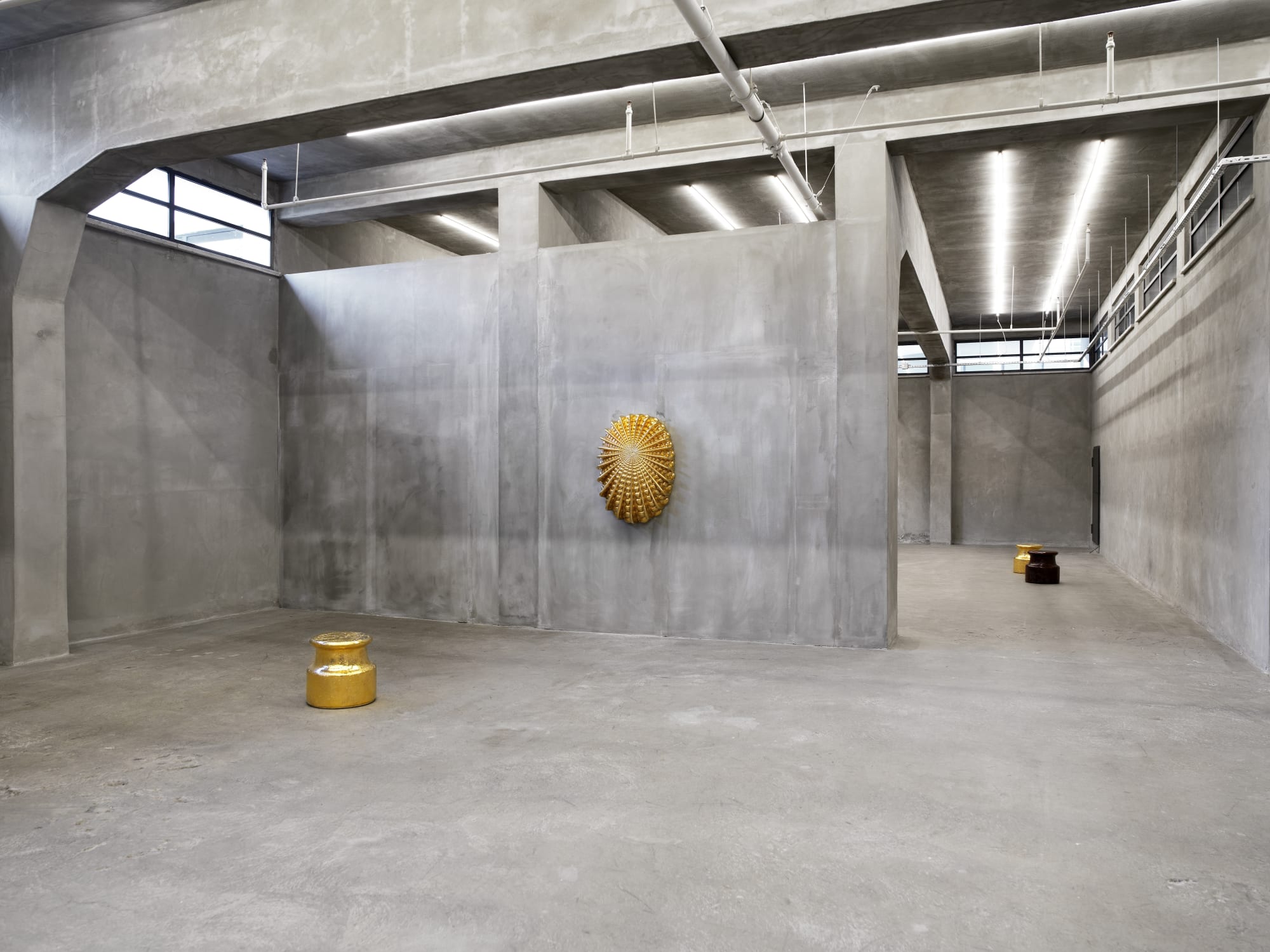 JOHAN CRETEN, THE VIVISECTOR