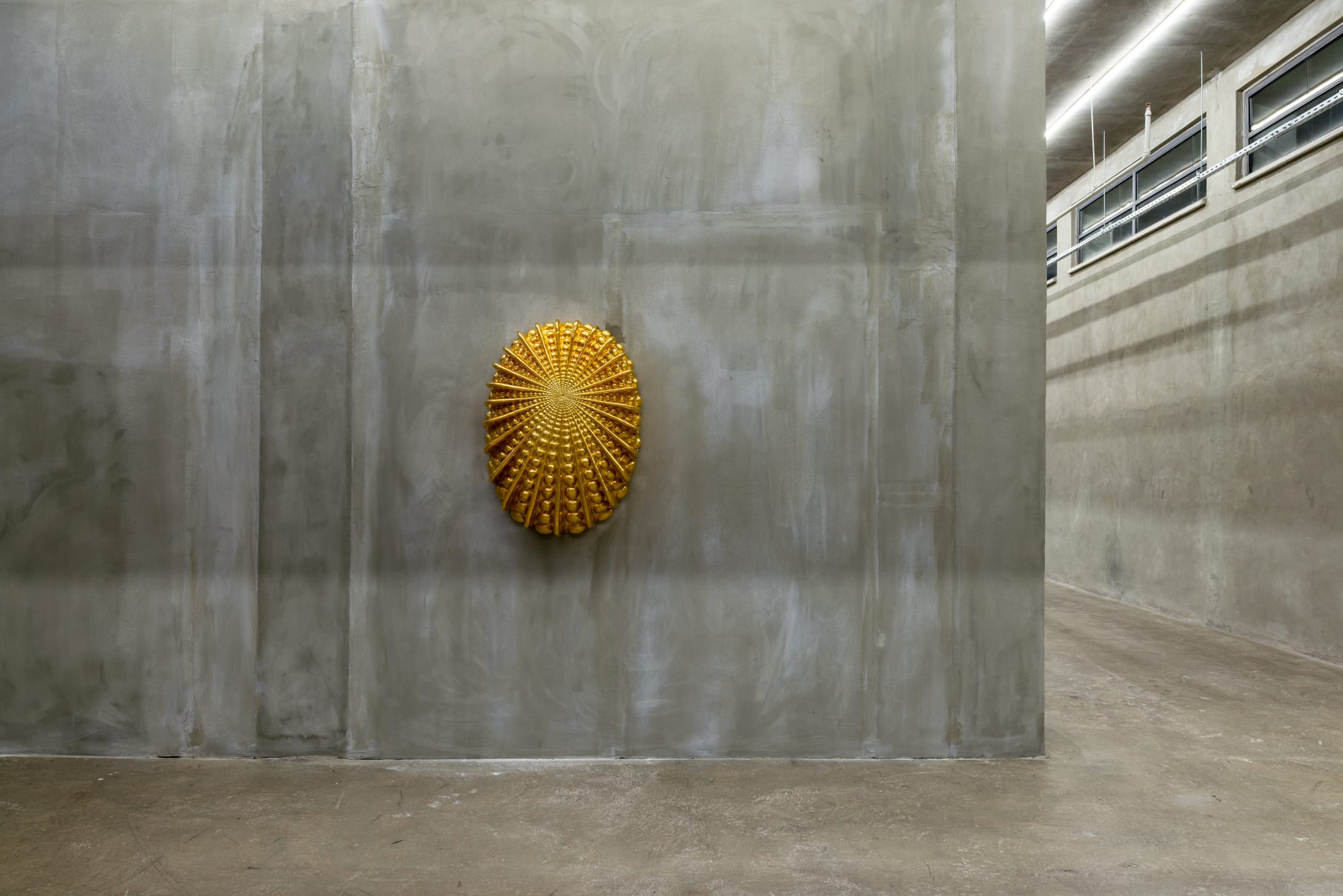 JOHAN CRETEN, THE VIVISECTOR