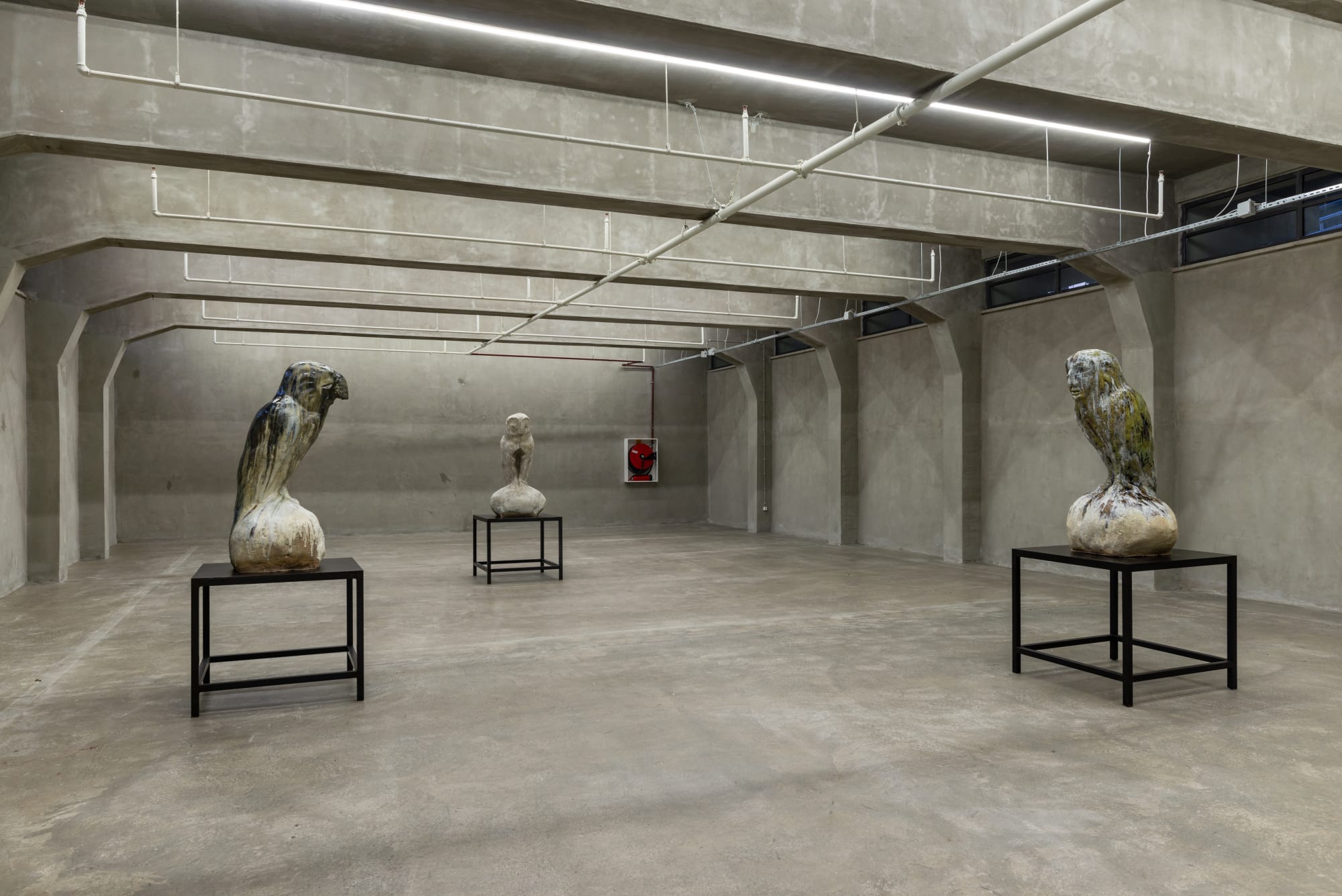 JOHAN CRETEN, THE VIVISECTOR