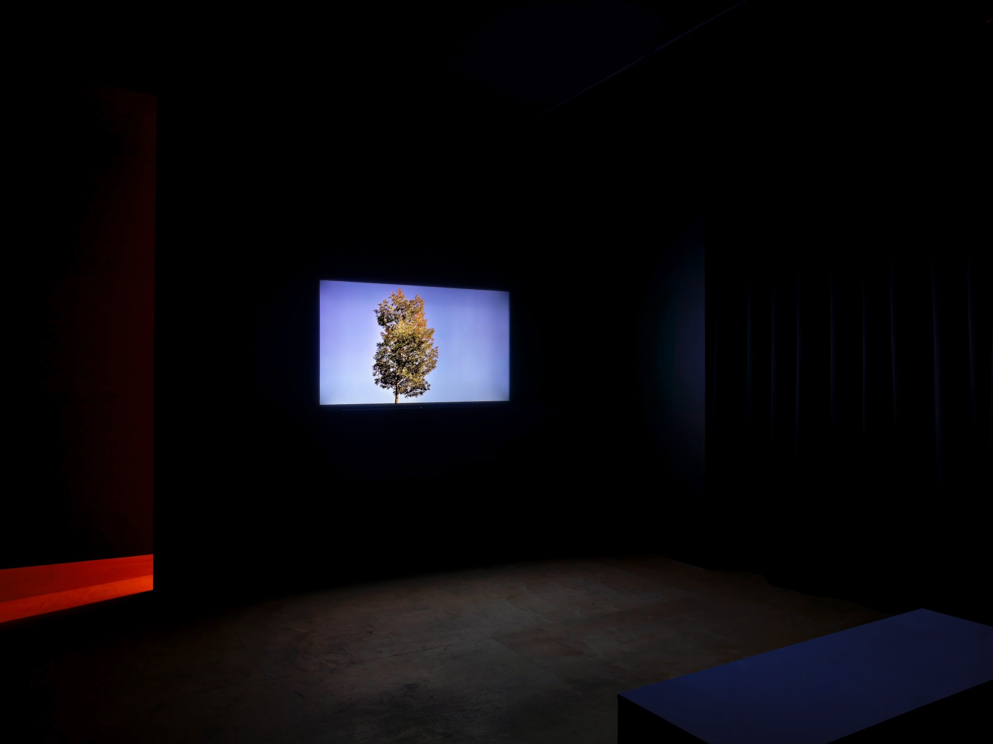 DEFNE TESAL, HESITATION