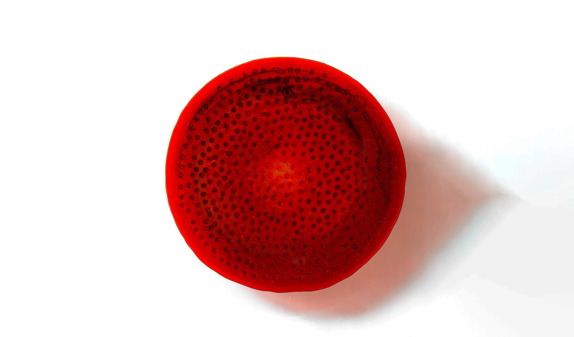 DANIEL KNORR DRIPPINGS - ERADIATION, 2020