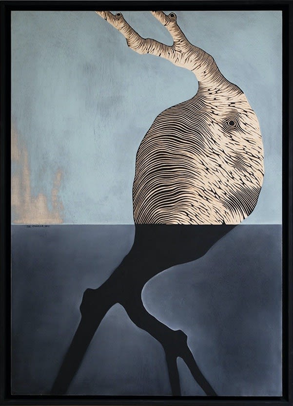 ZOÉ OUVRIER abıes, 2012